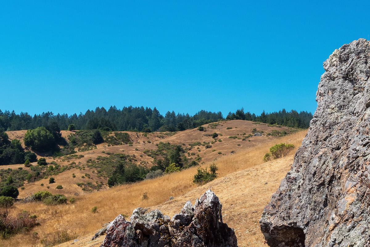 0 W Nicasio Road