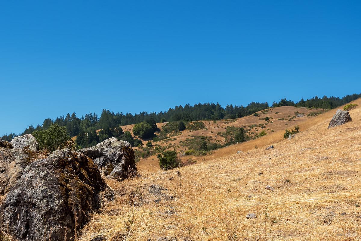 0 W Nicasio Road
