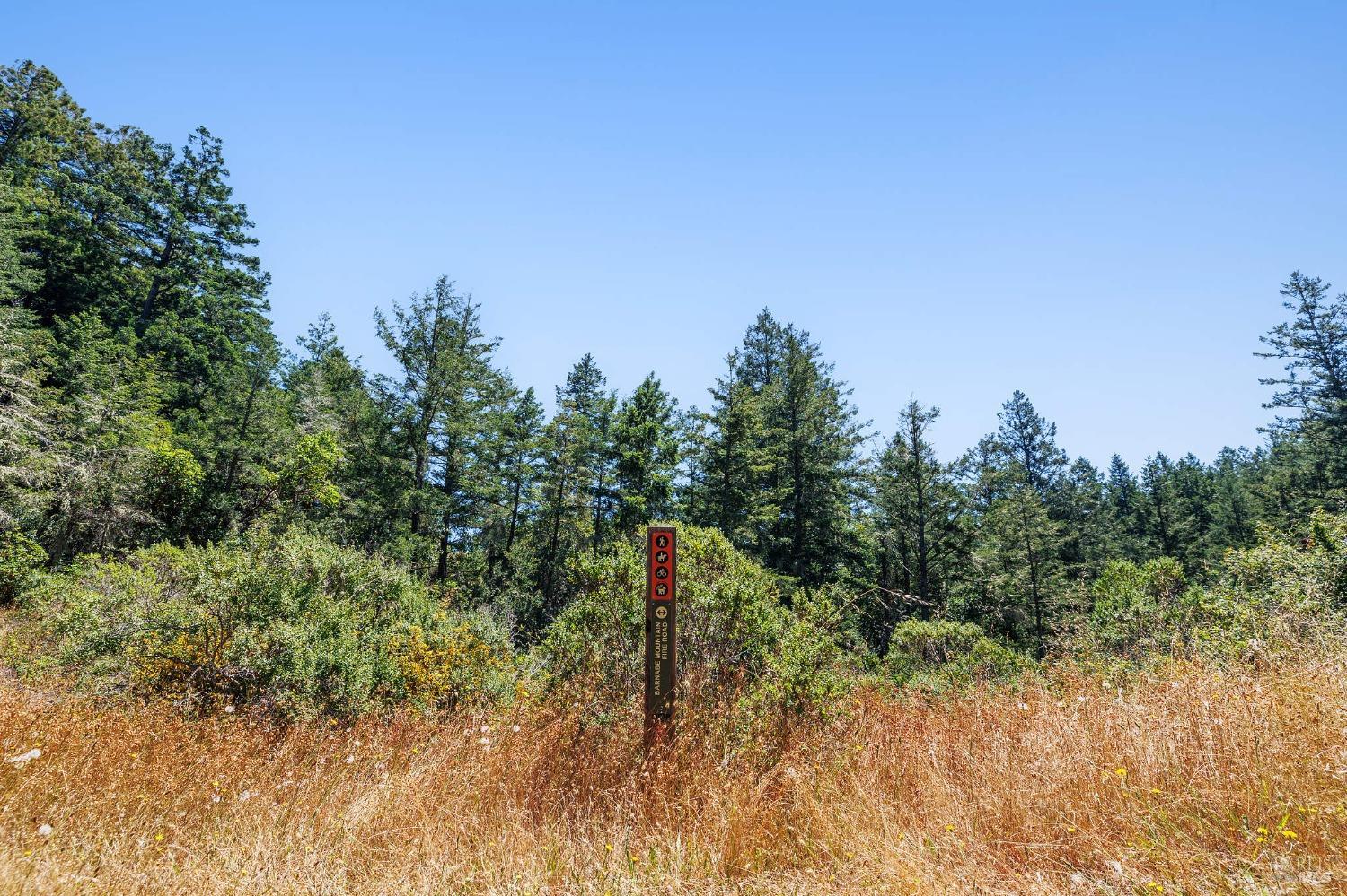 Wooded hillside with dry grass and a Barnabe Mountain Fire Road marker.