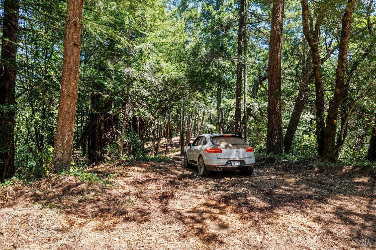 A car on a dirt driveway beneath tall trees in a dense wooded property.