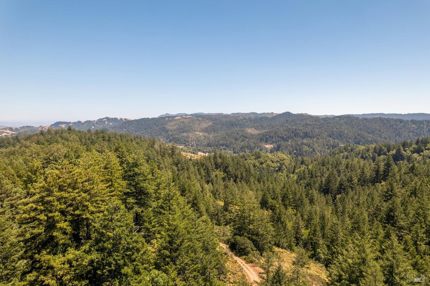 Aerial view of forested hills and a valley, with a dirt road winding through the foreground.