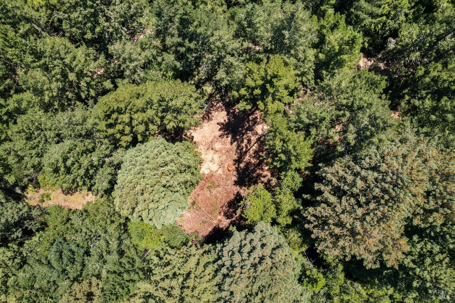 Aerial view of a wooded property with a broad dry clearing surrounded by dense trees.