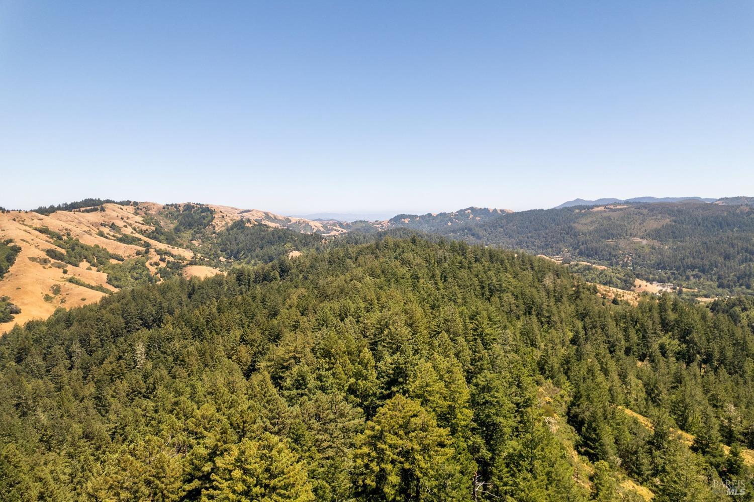 Panoramic view over forested hills and a valley, with golden rolling hills in the distance.