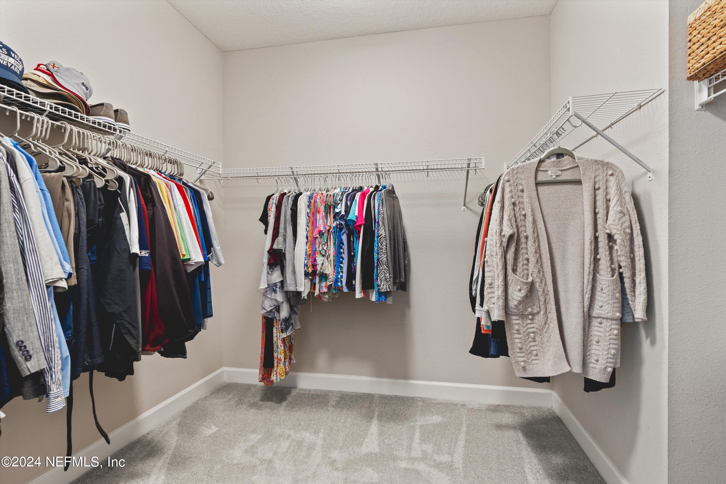 317 TRELLIS BAY Drive