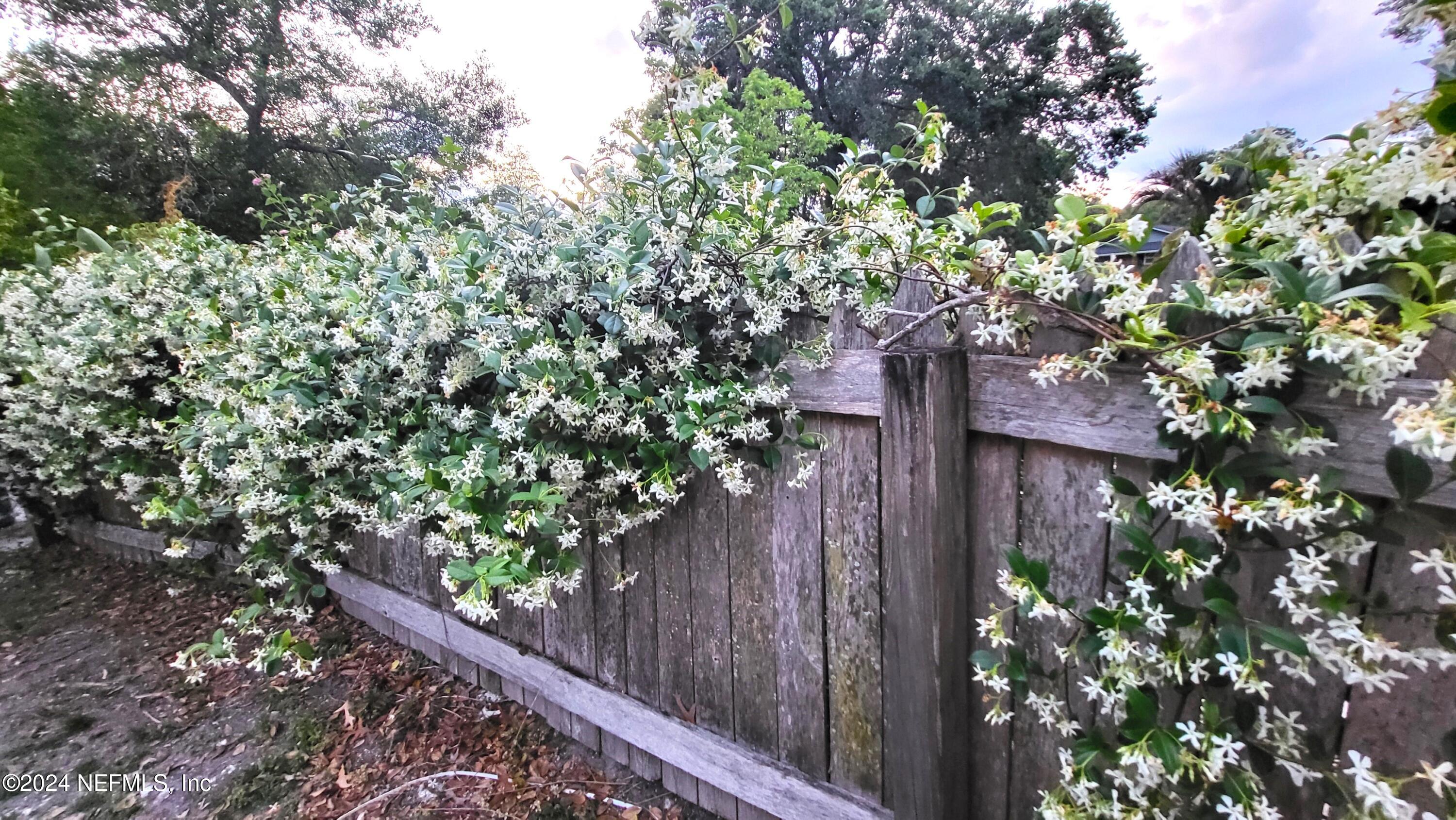 3656 COLONY COVE Trail