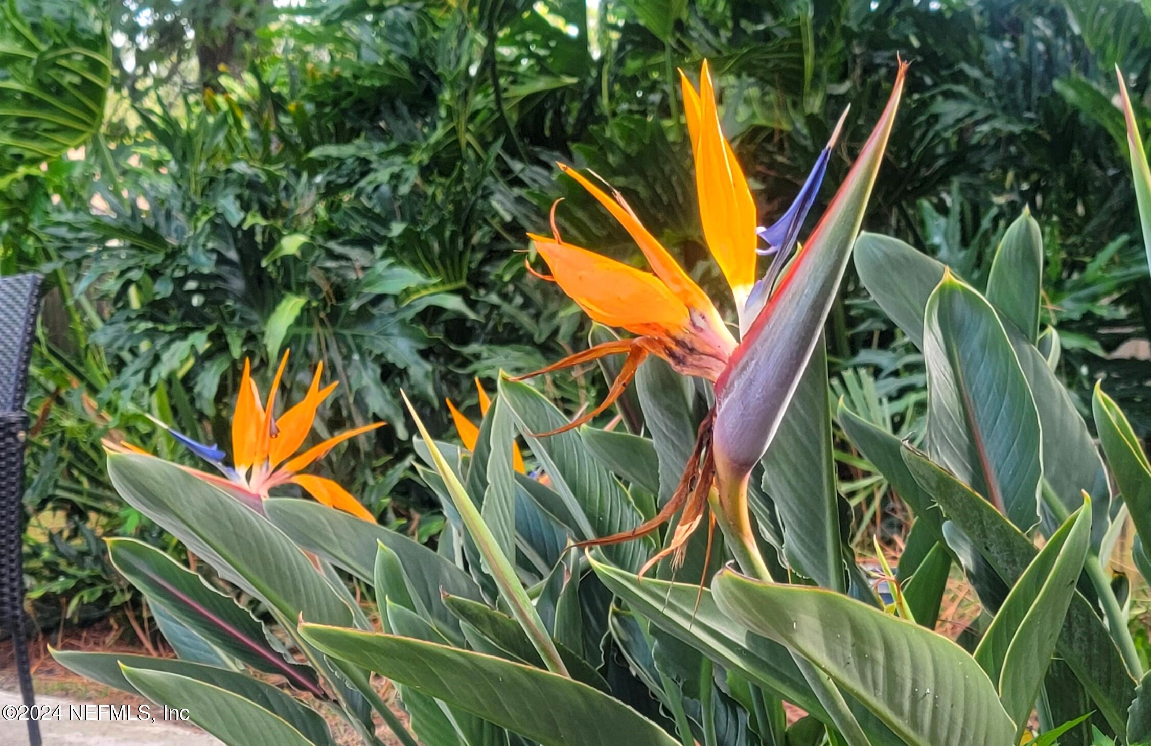 3656 COLONY COVE Trail