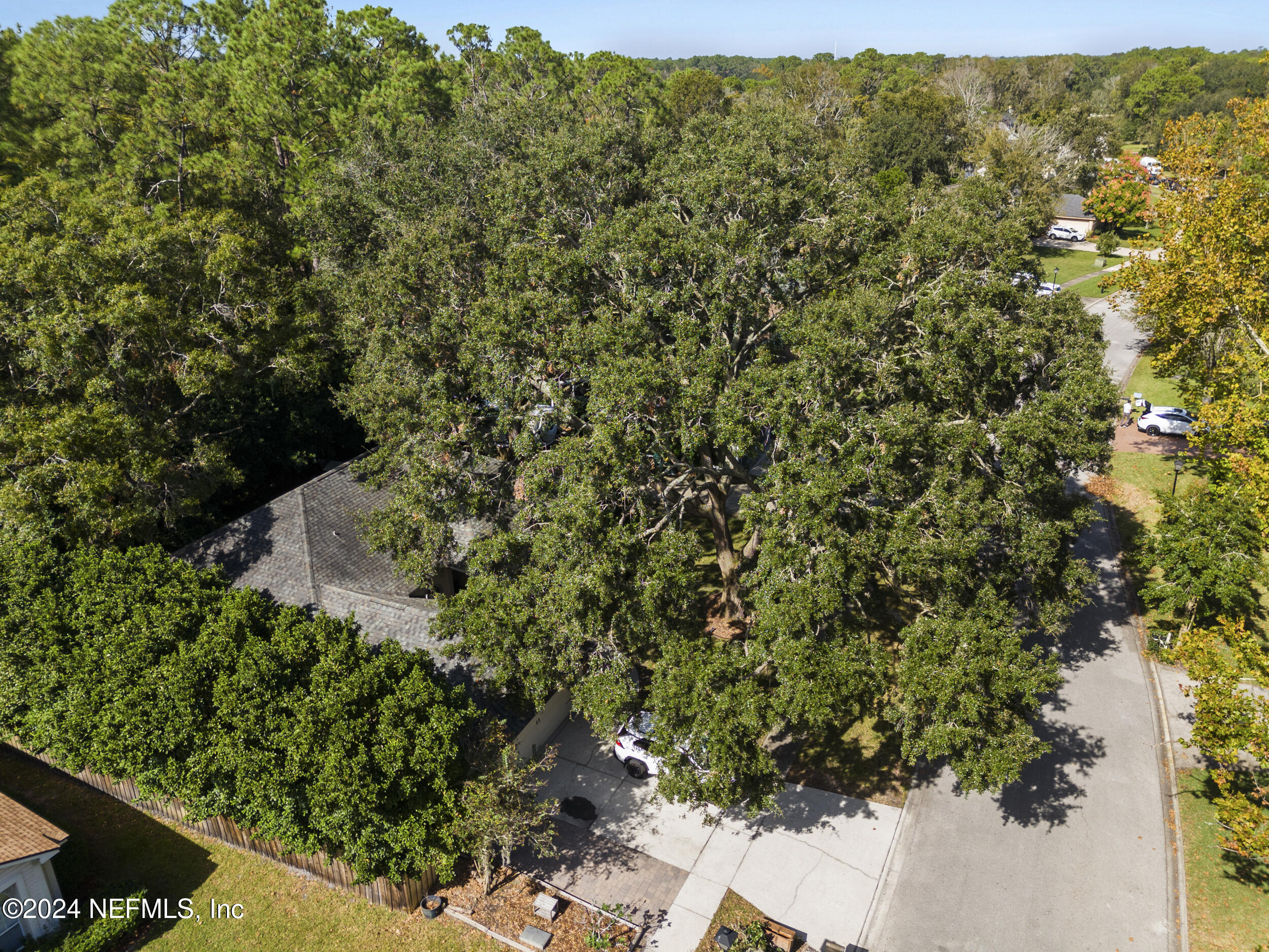 2338 EAGLES NEST Road