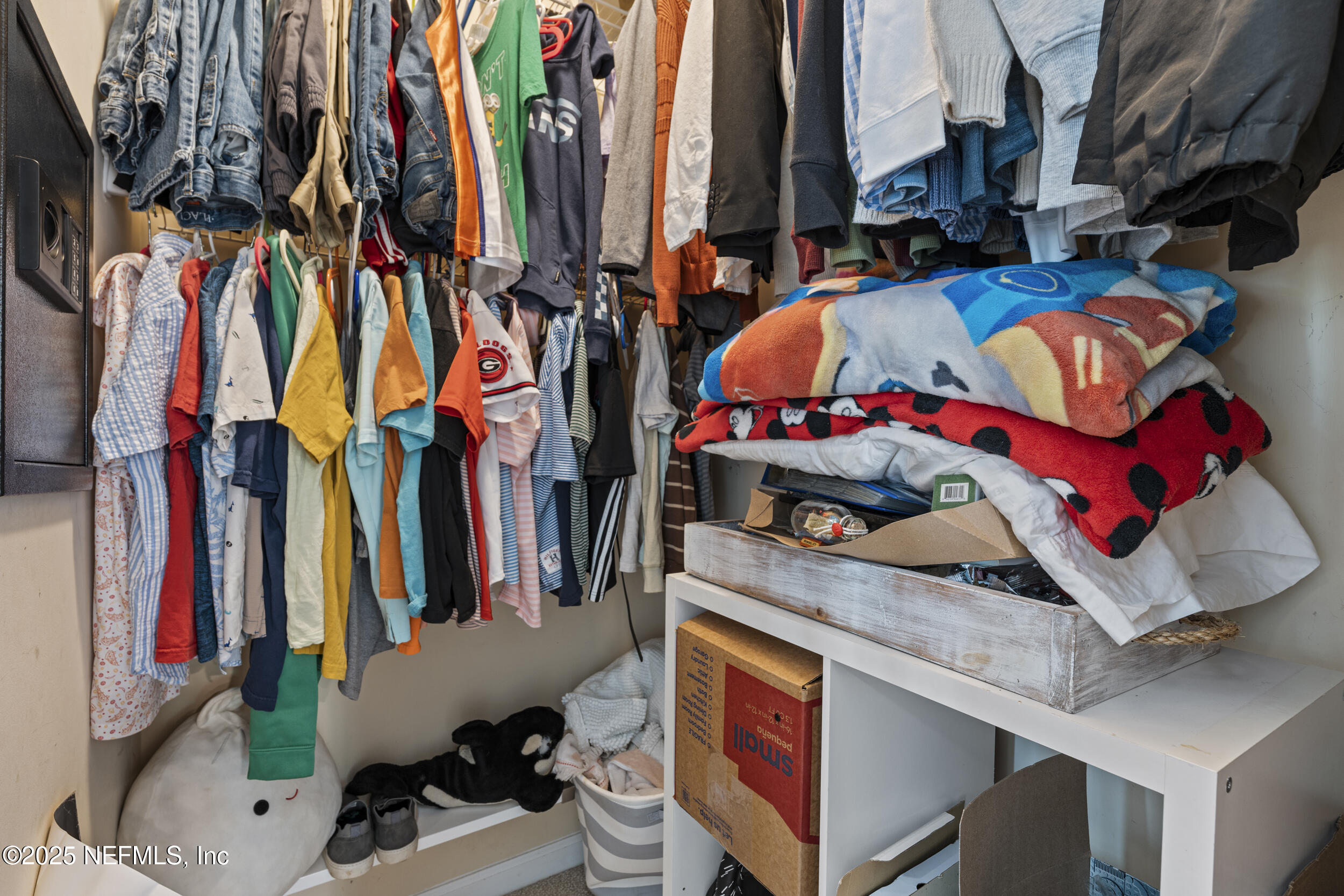 312 BARTRAM Trail, St. Johns