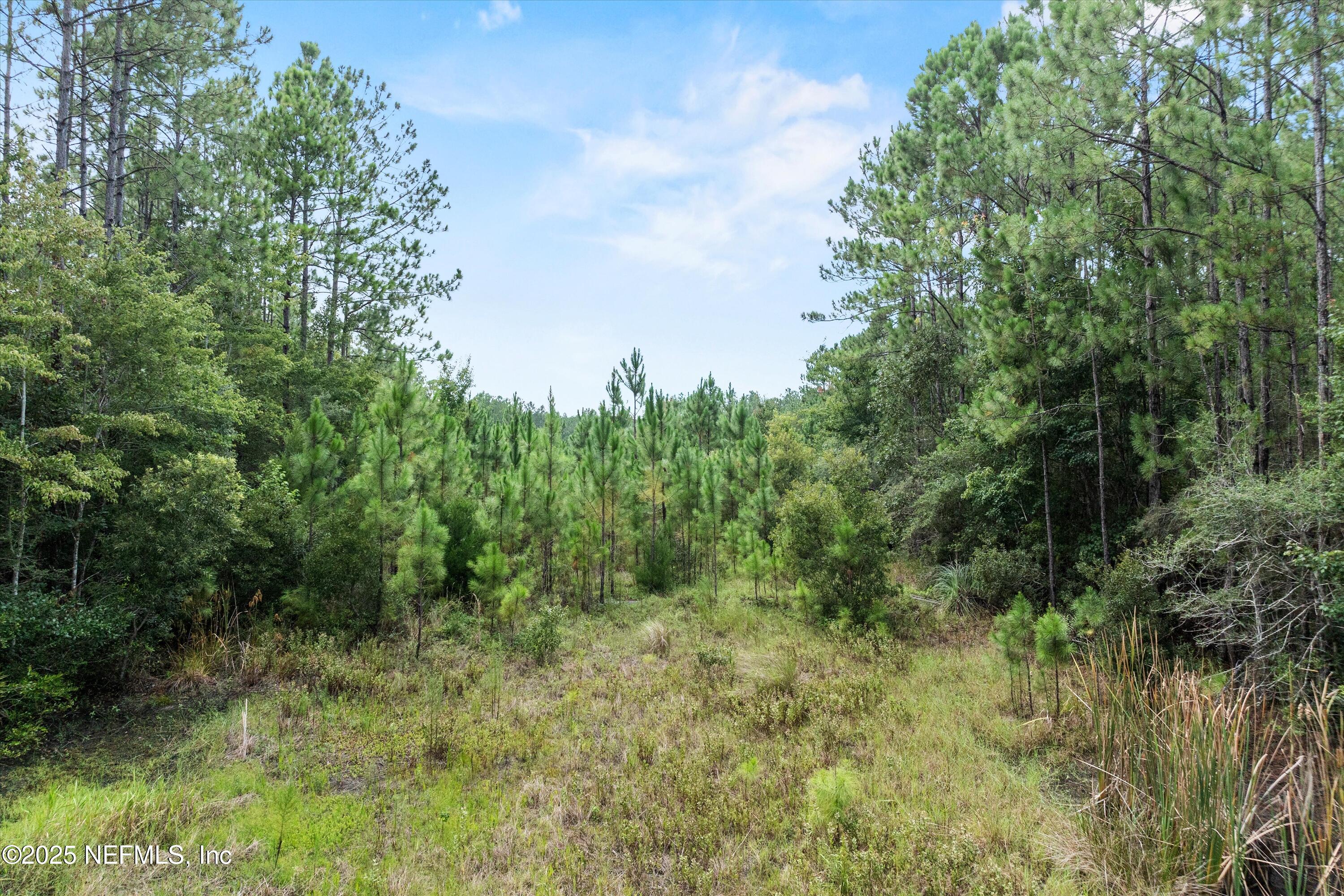 285 BRAMBLY VINE Drive, St. Johns