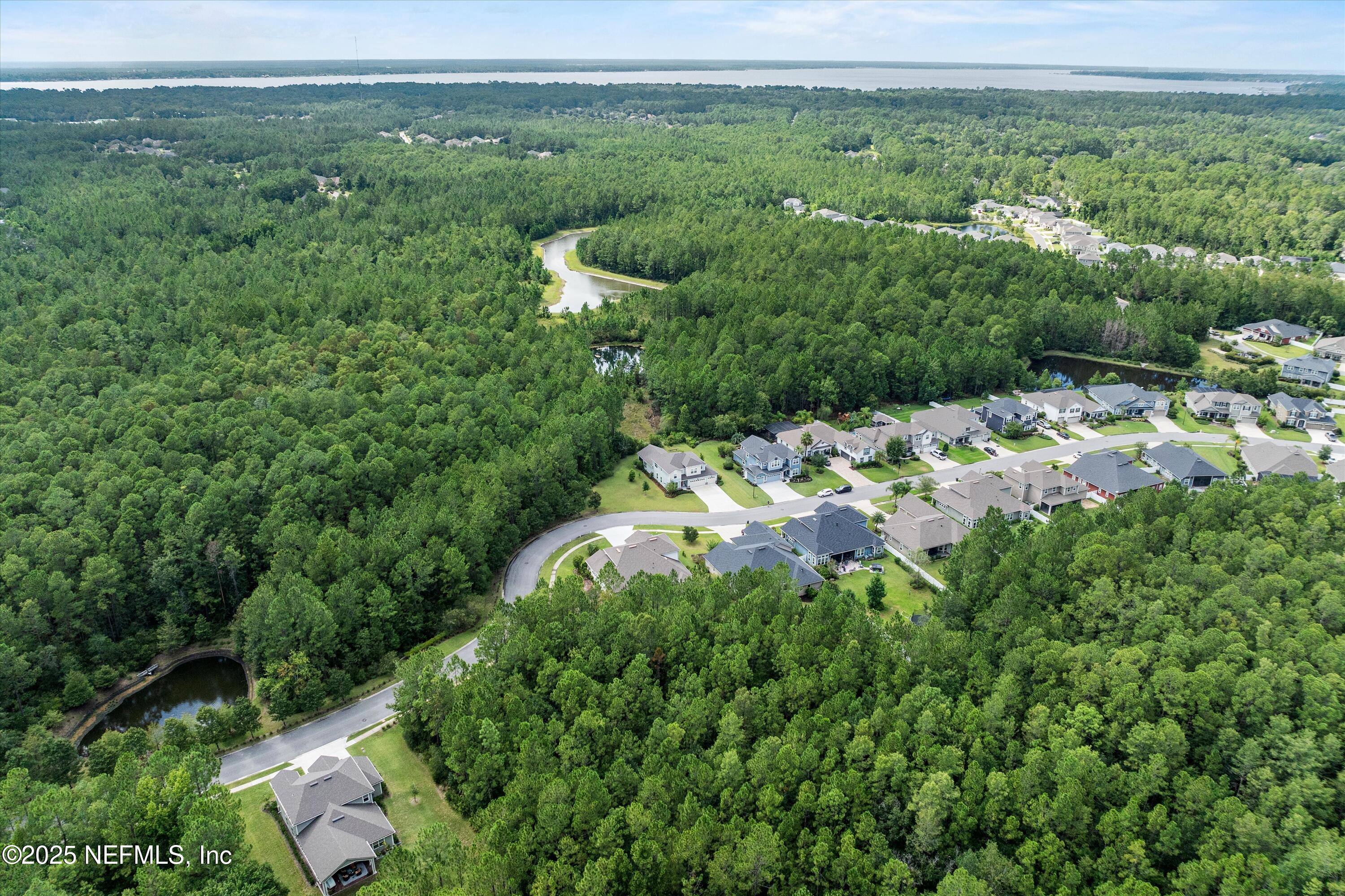 285 BRAMBLY VINE Drive, St. Johns