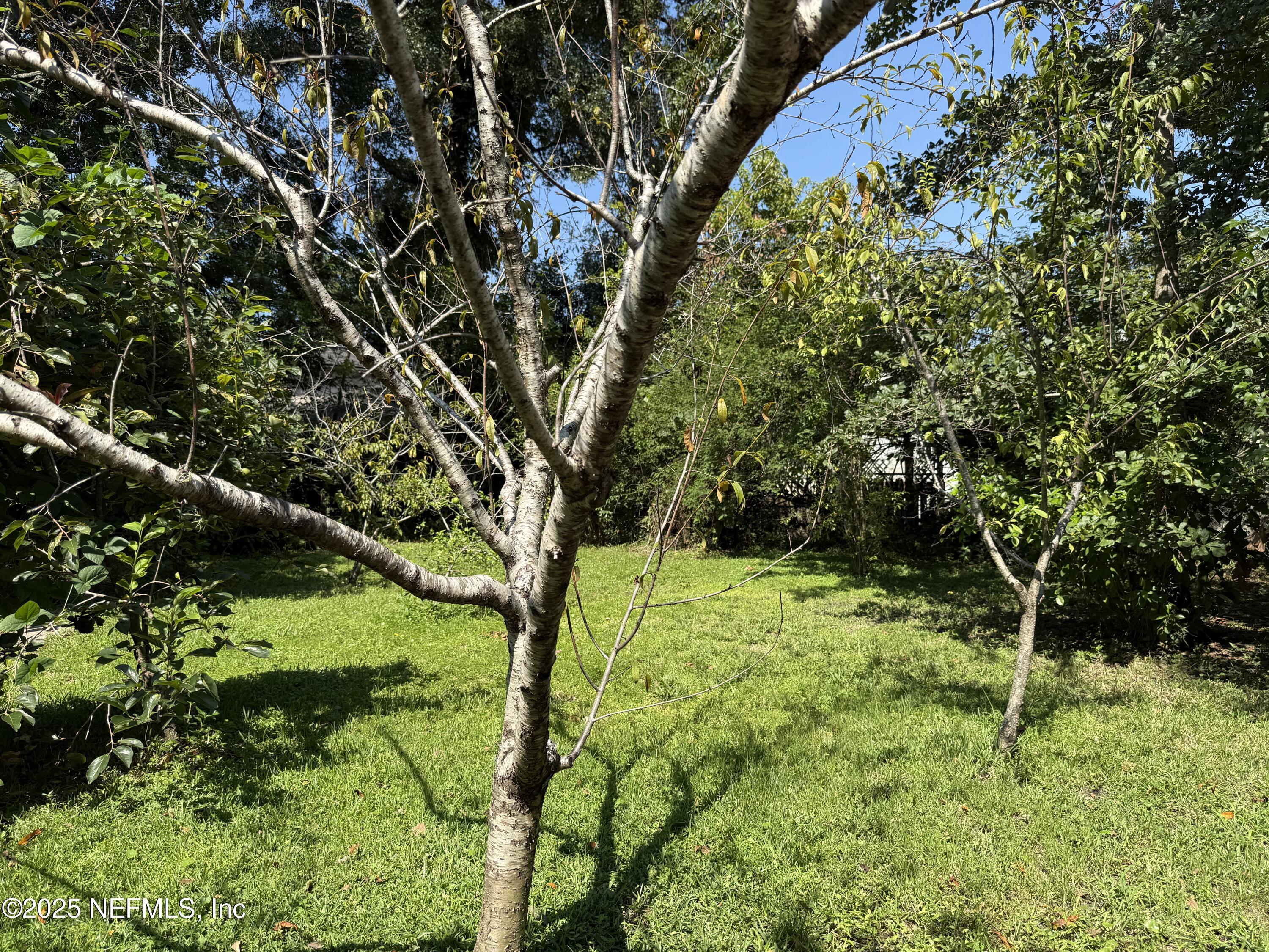 4713 KINGSBURY Street