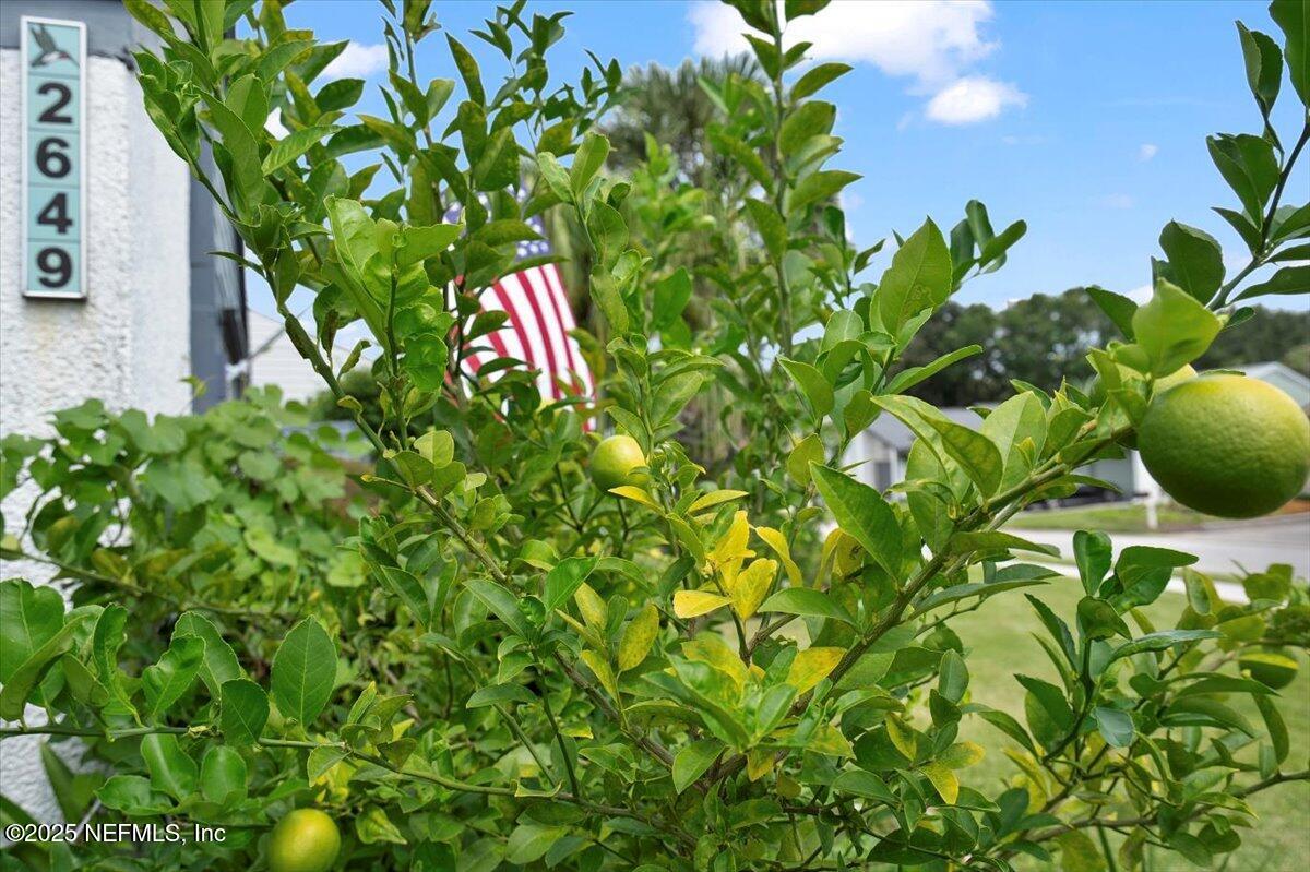 2649 L'ATRIUM Circle S