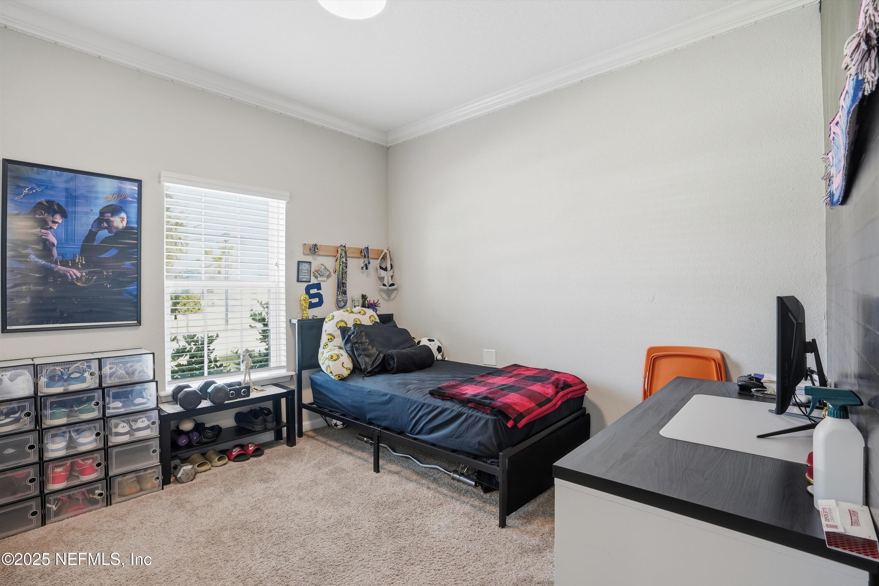 3884 HAMMOCK BLUFF Drive, Jacksonville