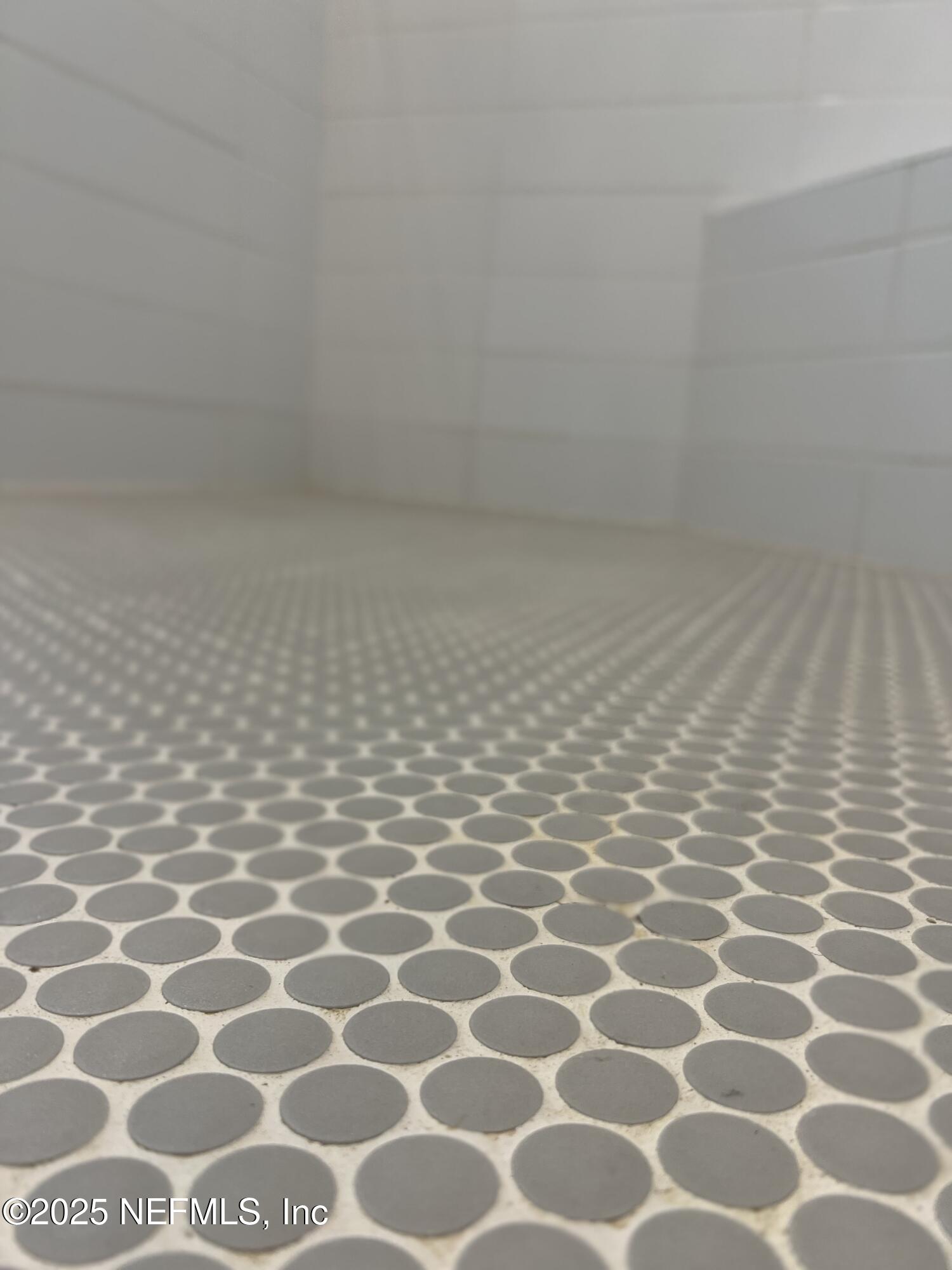 3889 ROYAL PINES Drive