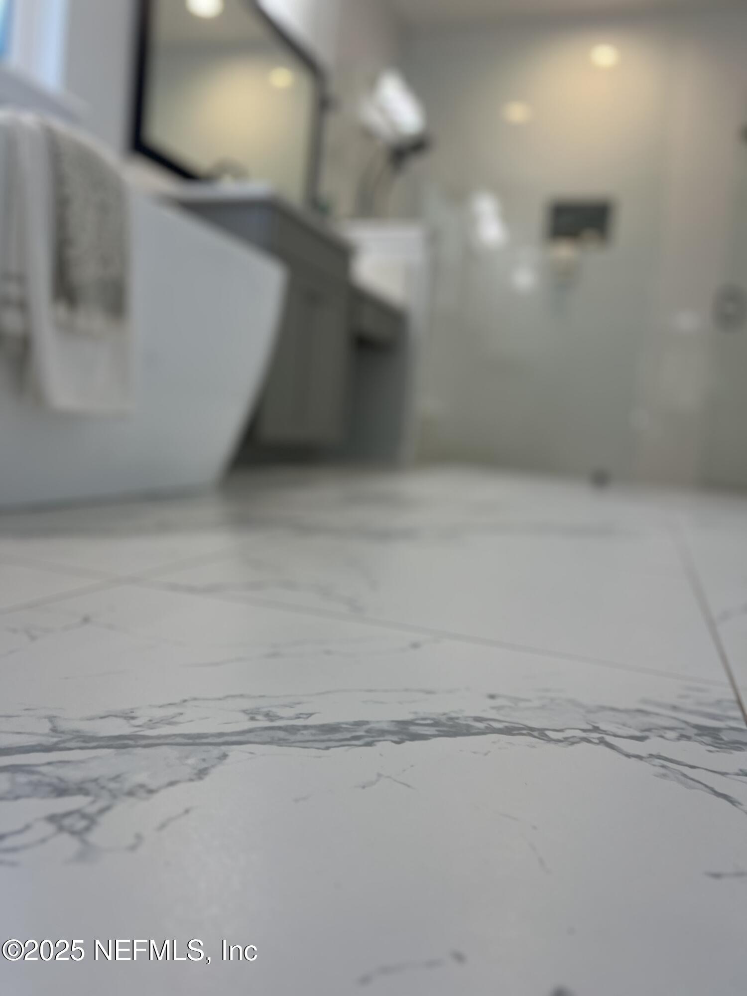 3889 ROYAL PINES Drive