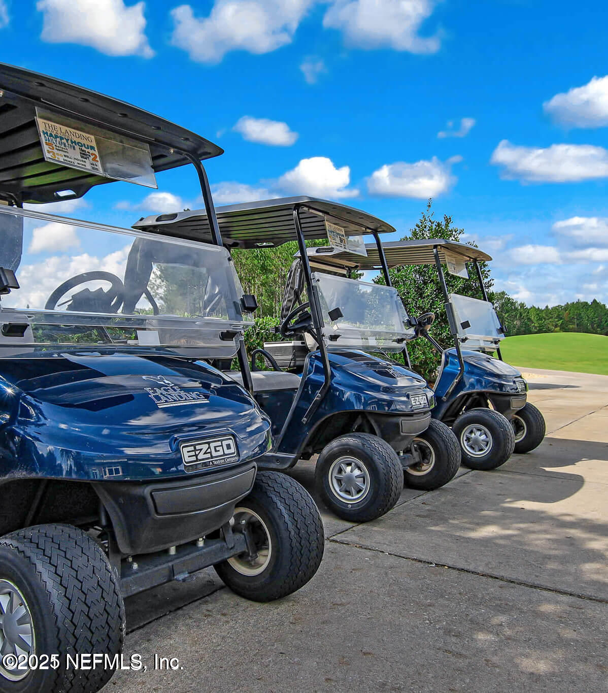 3889 ROYAL PINES Drive