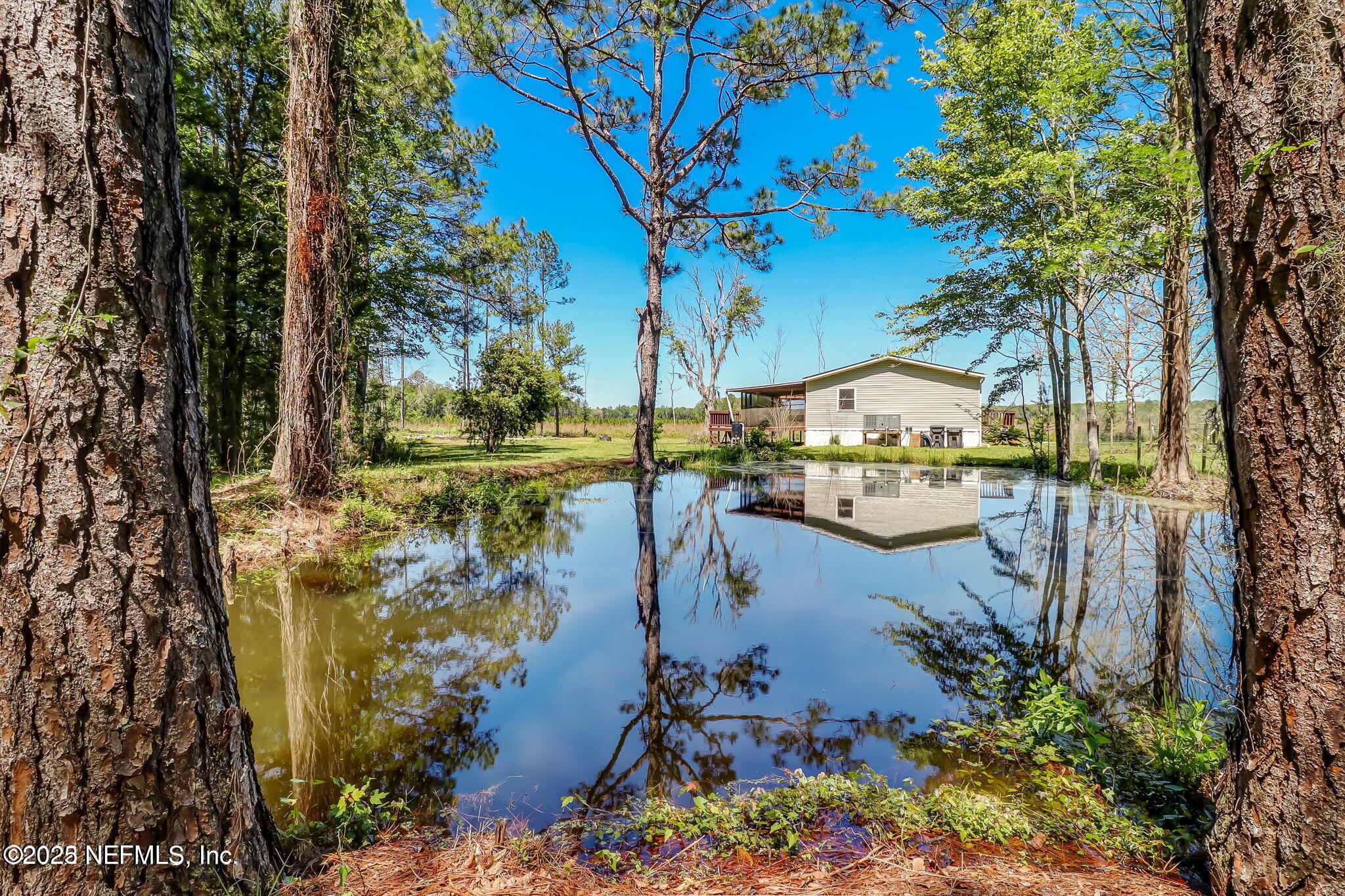 44586 MAPLEWOOD Court