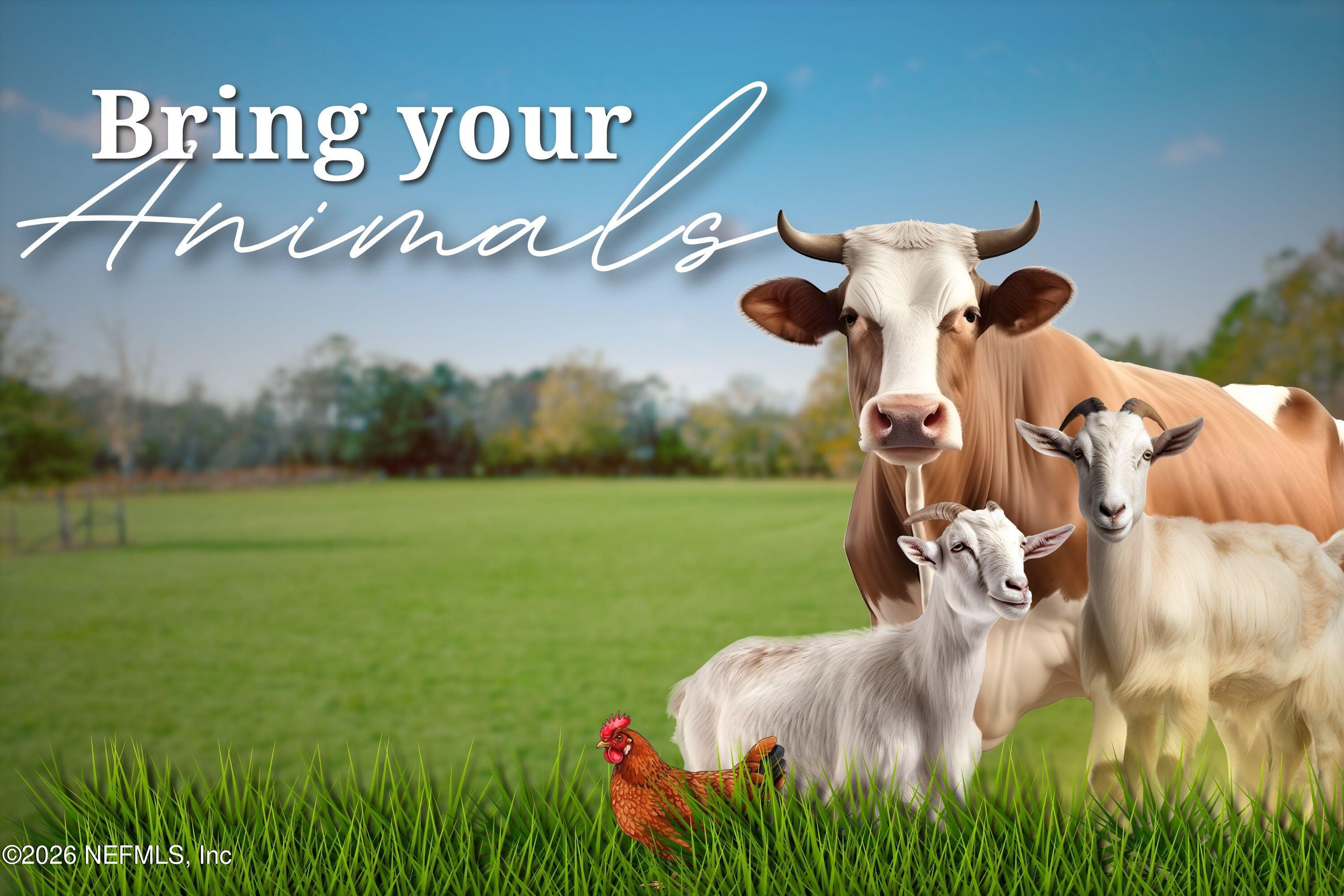 8305 CO RD 139B, Glen St. Mary