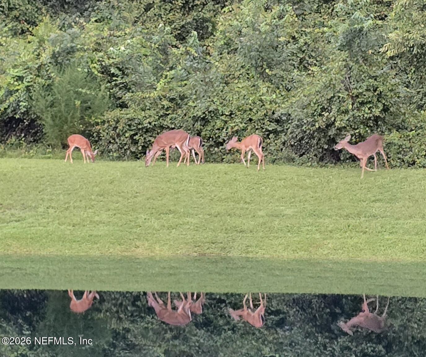 862440 N HAMPTON CLUB Way