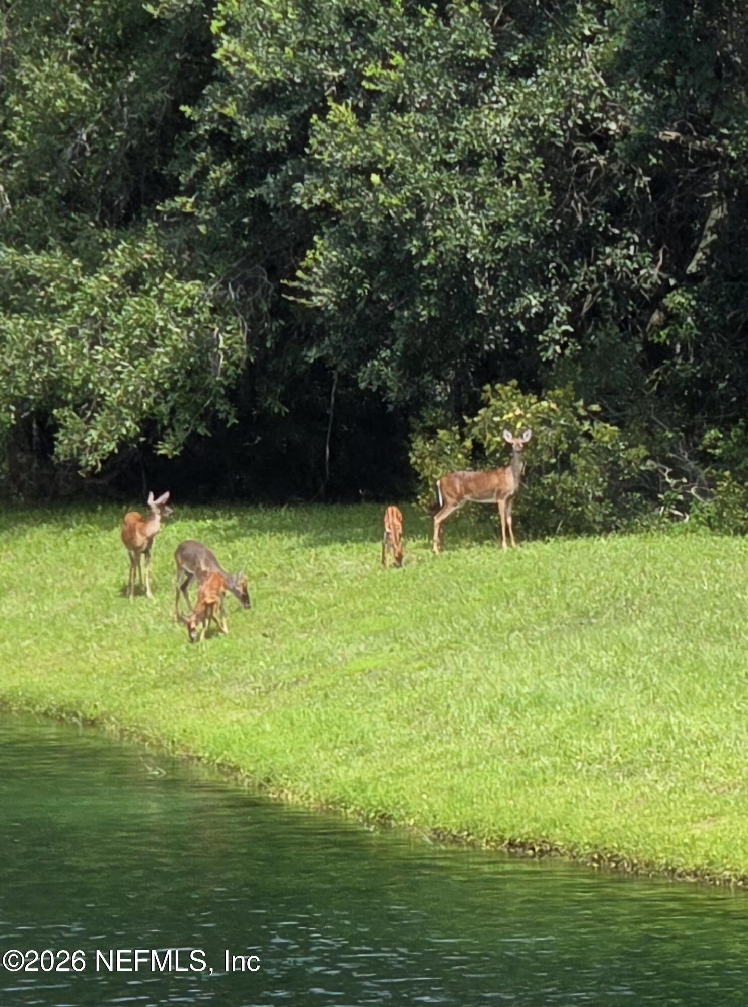 862440 N HAMPTON CLUB Way