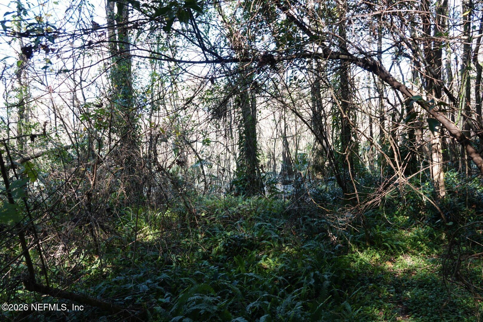 525 RAULERSON Road