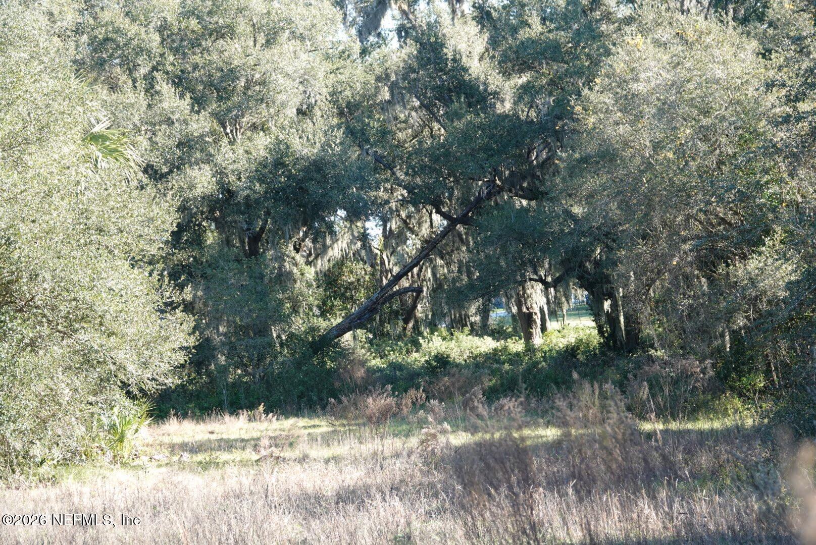 525 RAULERSON Road