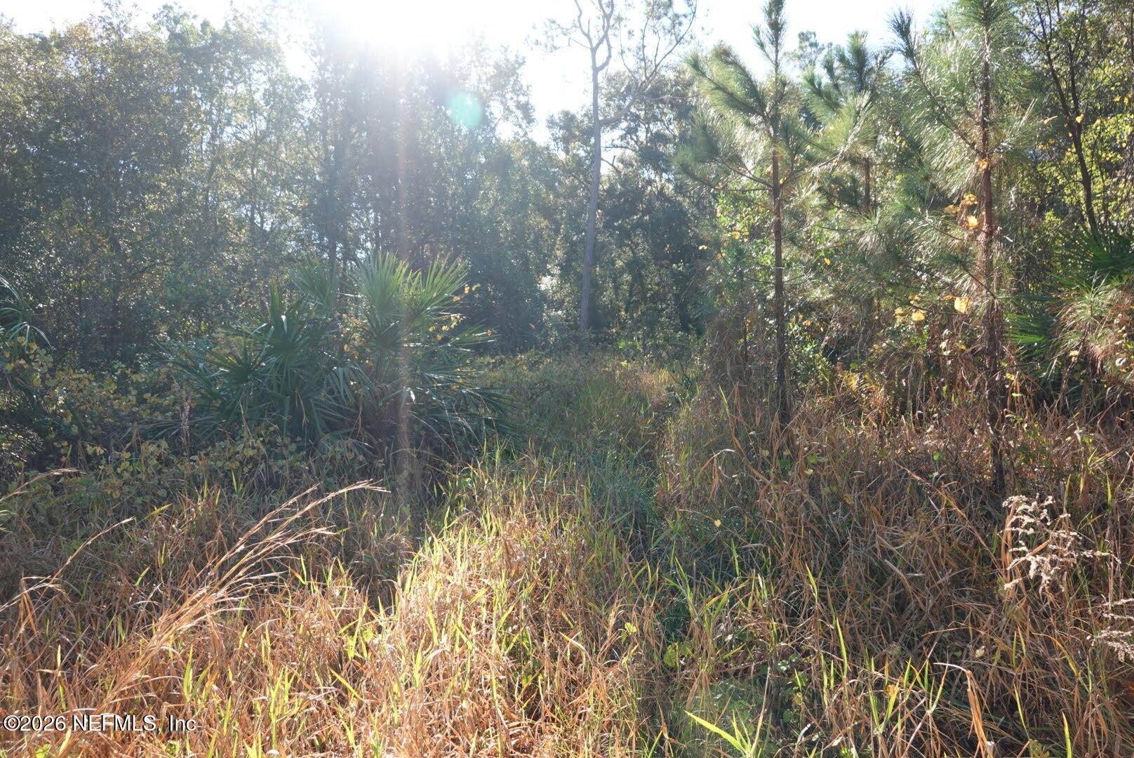 525 RAULERSON Road