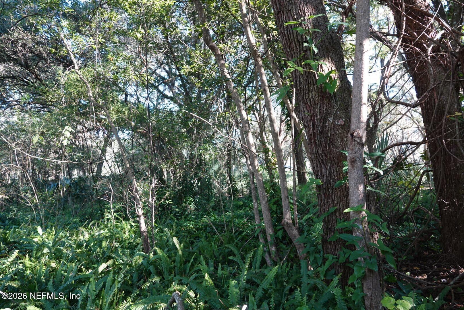 525 RAULERSON Road