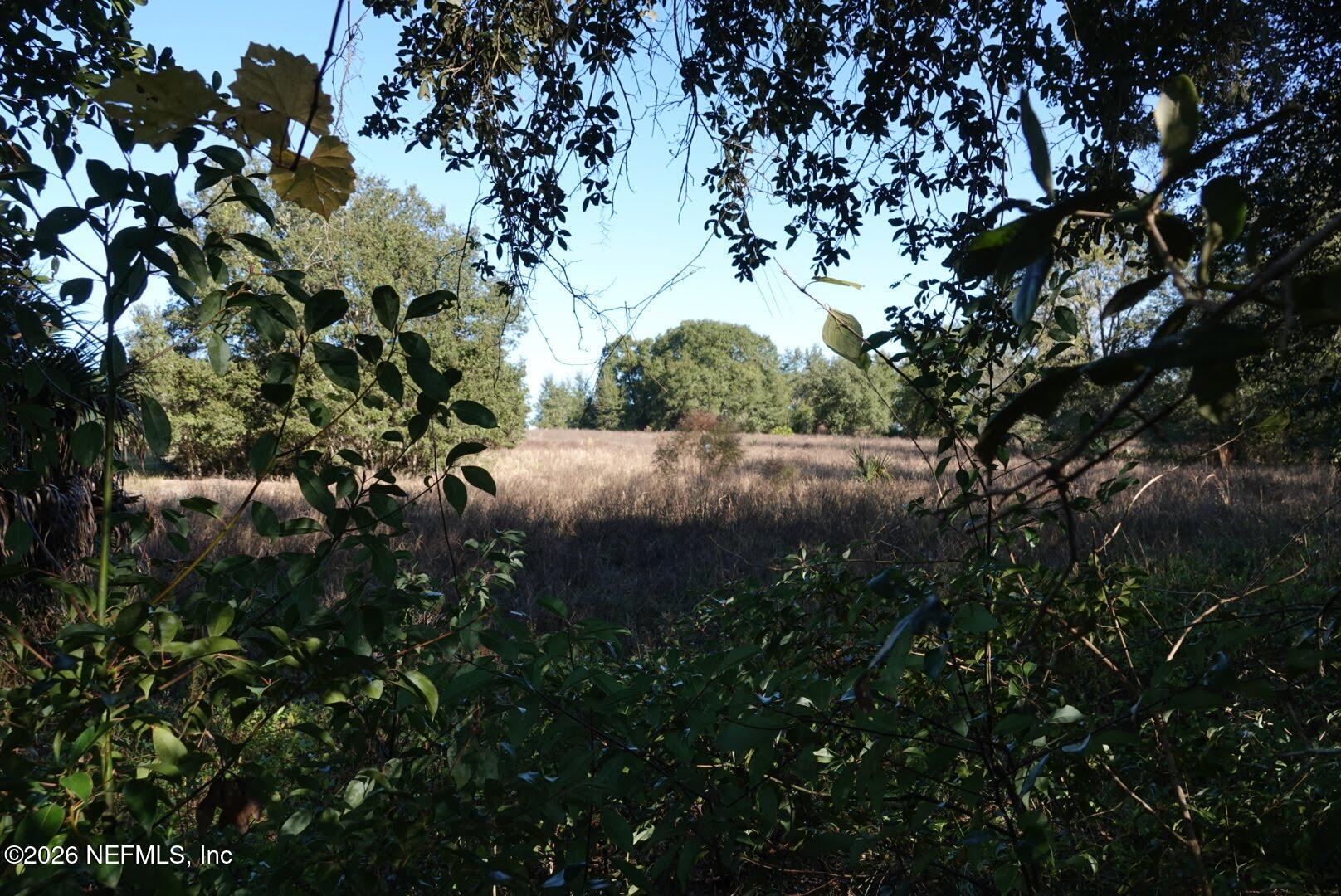 525 RAULERSON Road