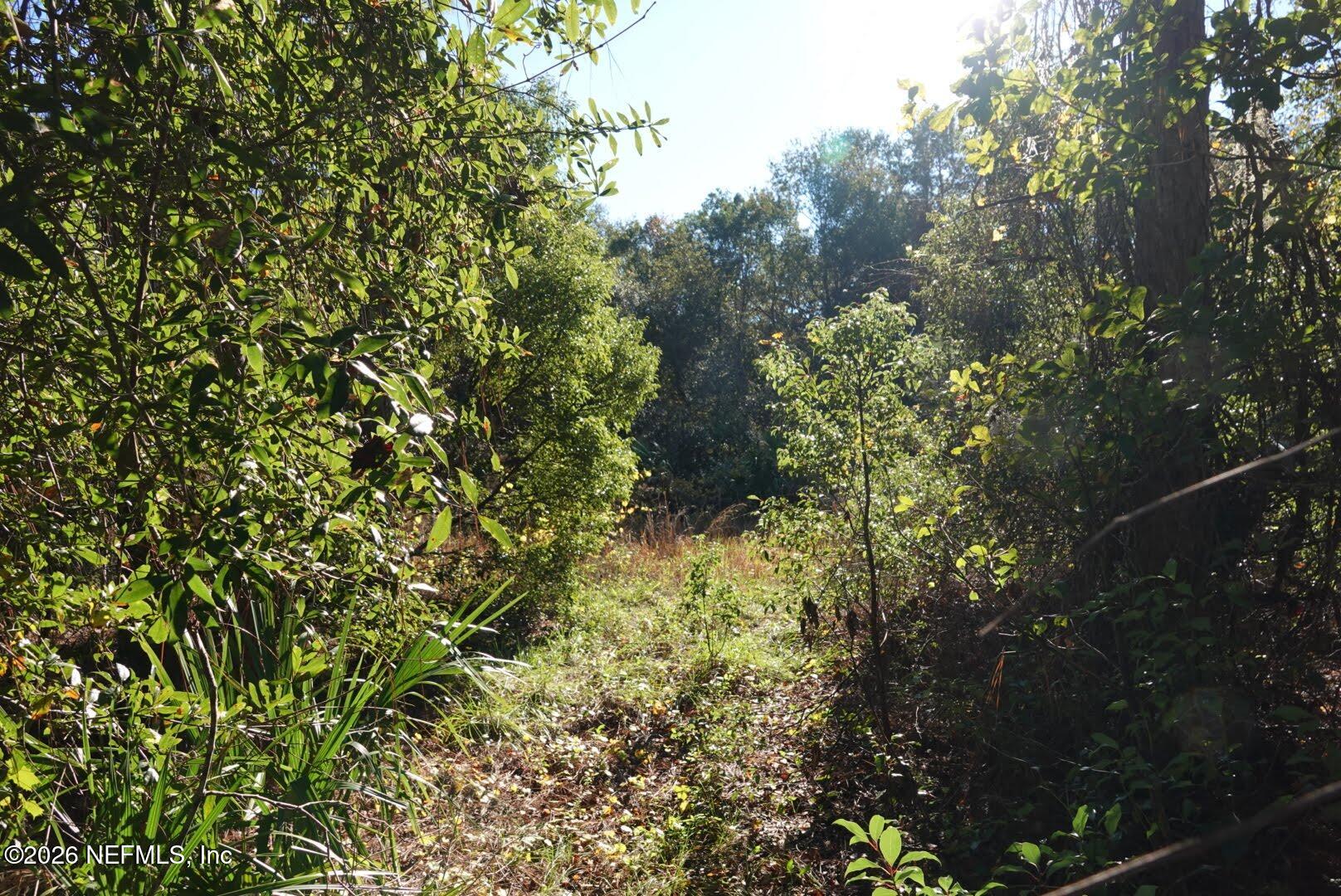 525 RAULERSON Road