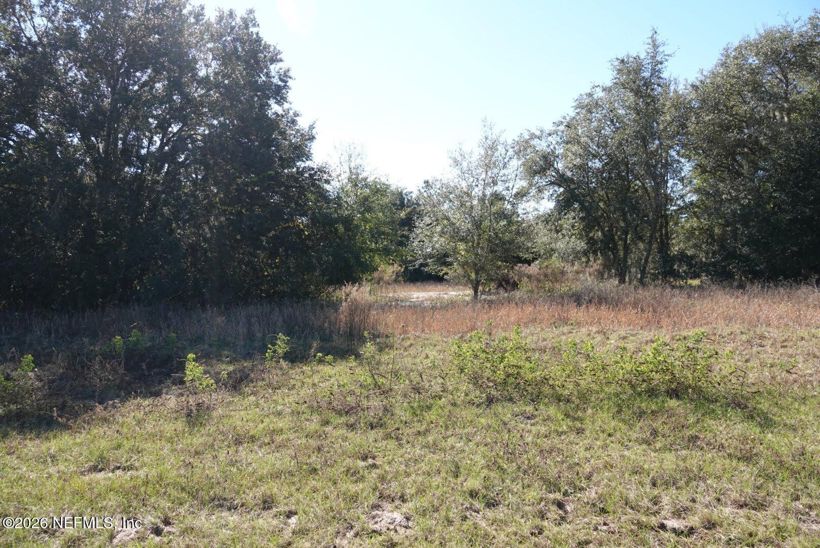 525 RAULERSON Road