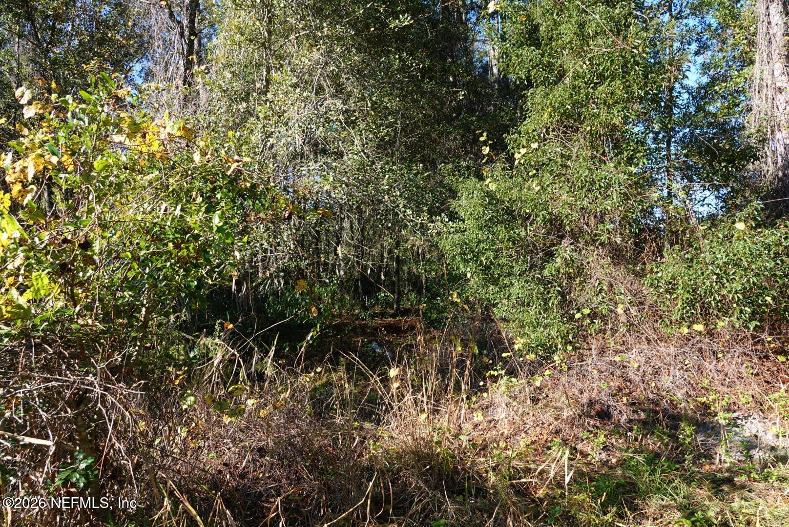 525 RAULERSON Road