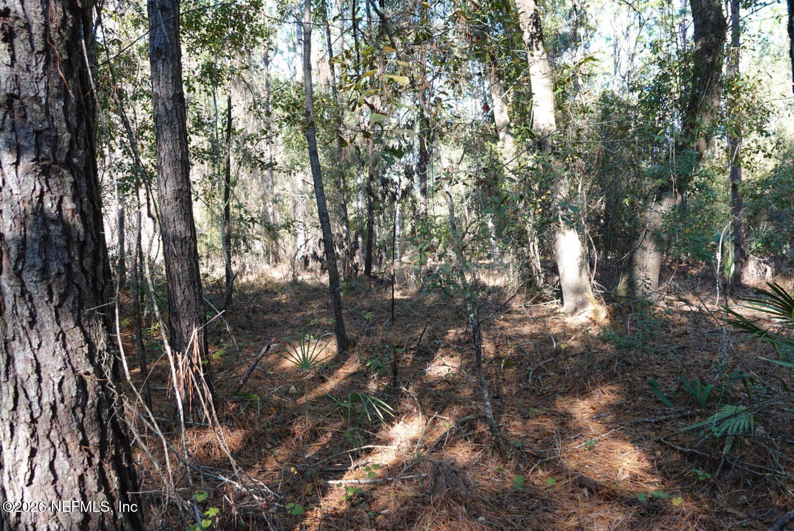 525 RAULERSON Road