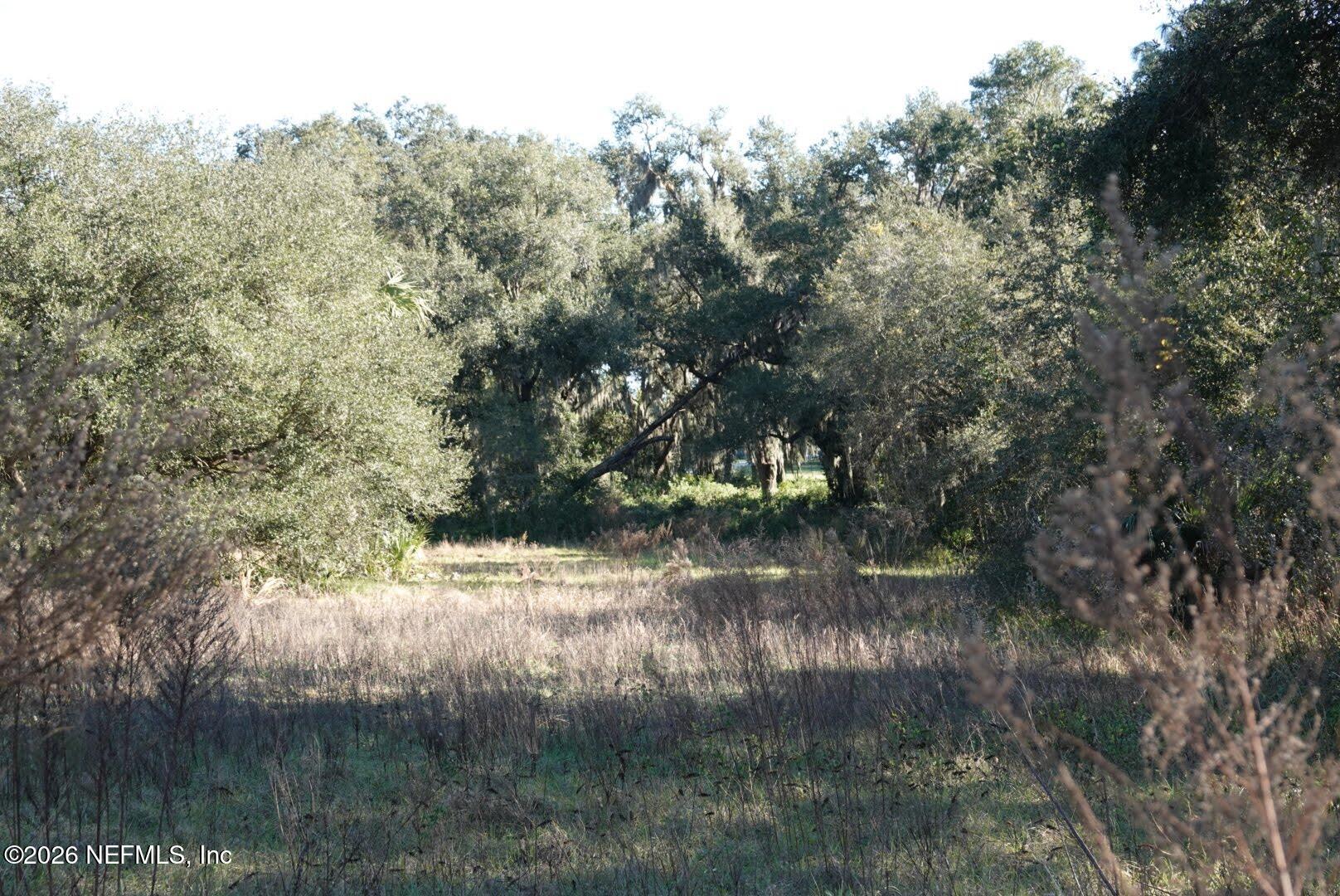 525 RAULERSON Road