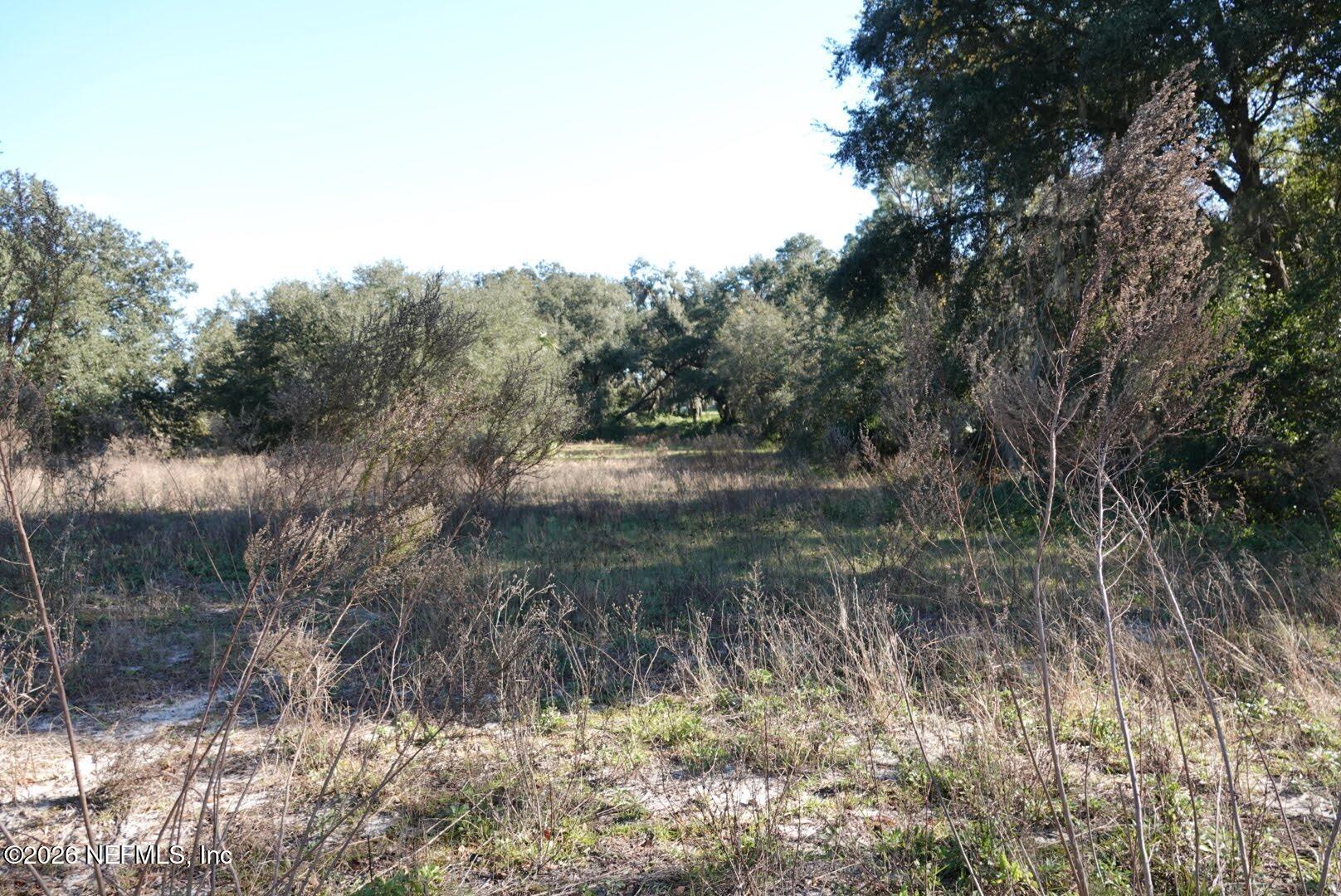 525 RAULERSON Road