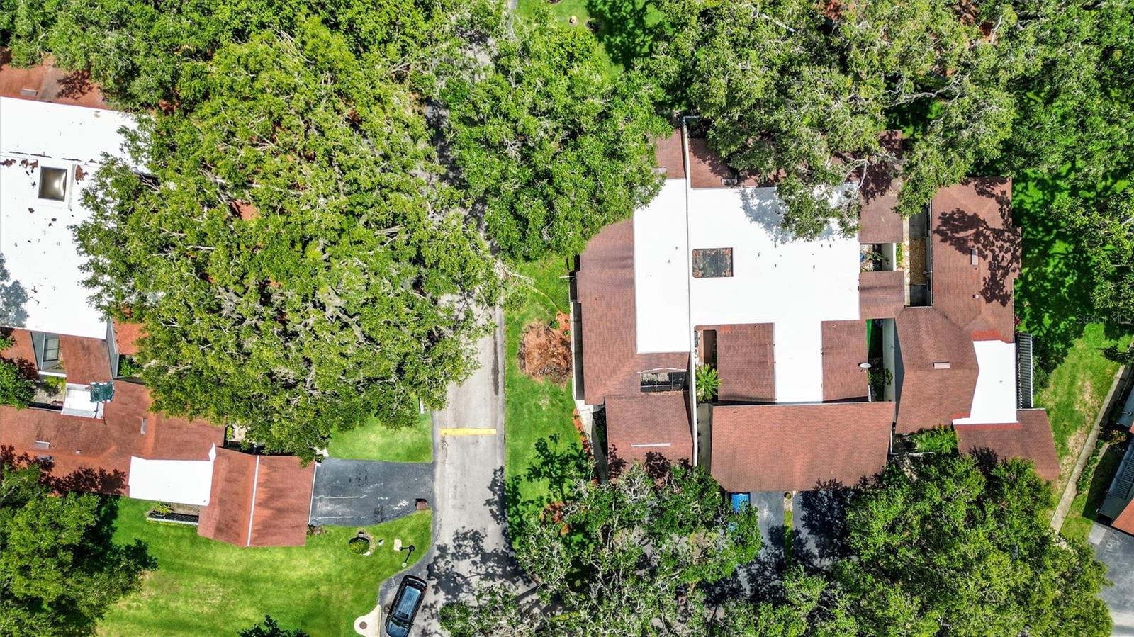 6564 SWEETBRIAR LN