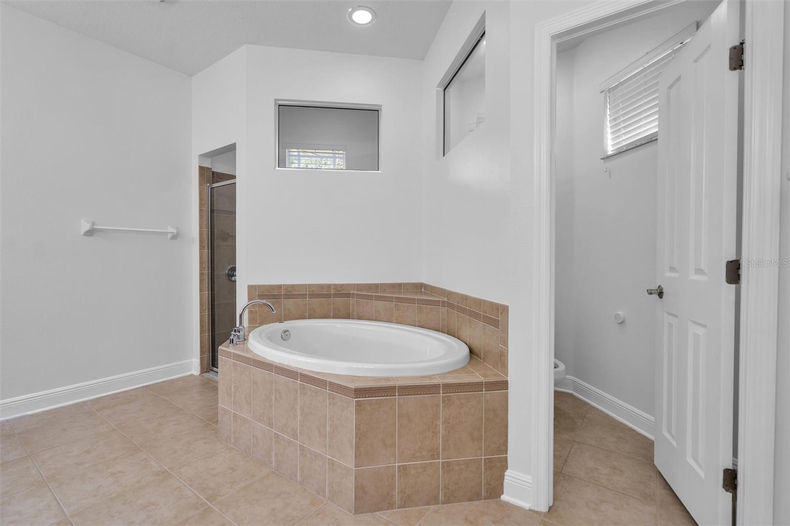 31604 BEARDED OAK DR