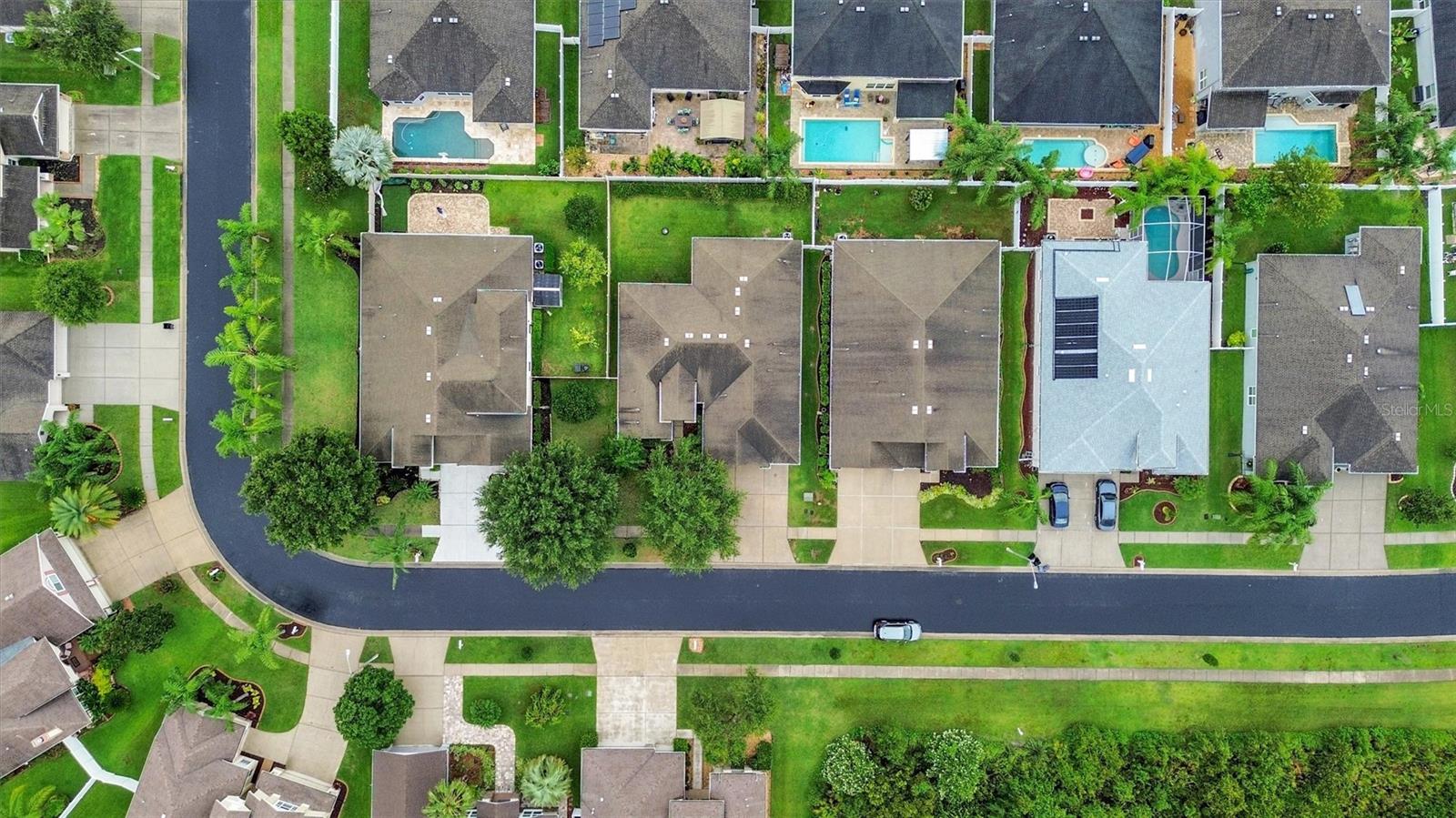 31604 BEARDED OAK DR