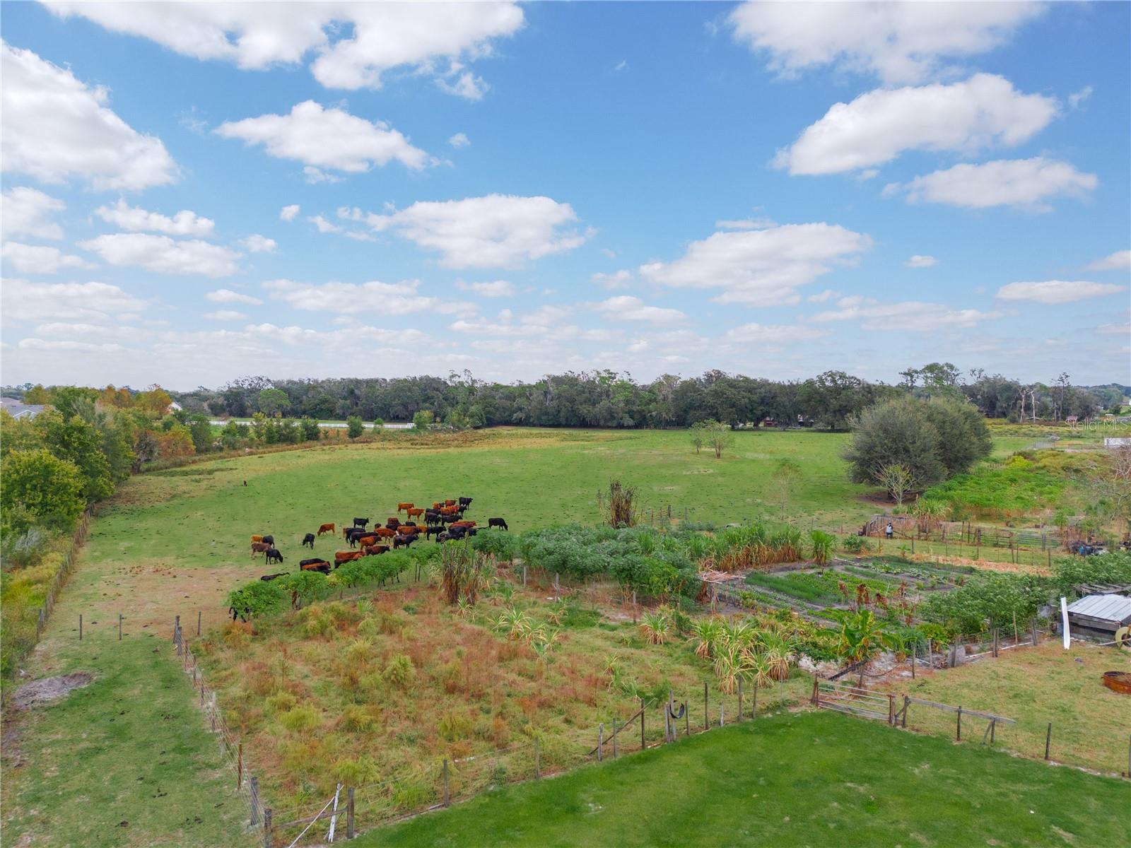 4025 W BELLA VISTA ST