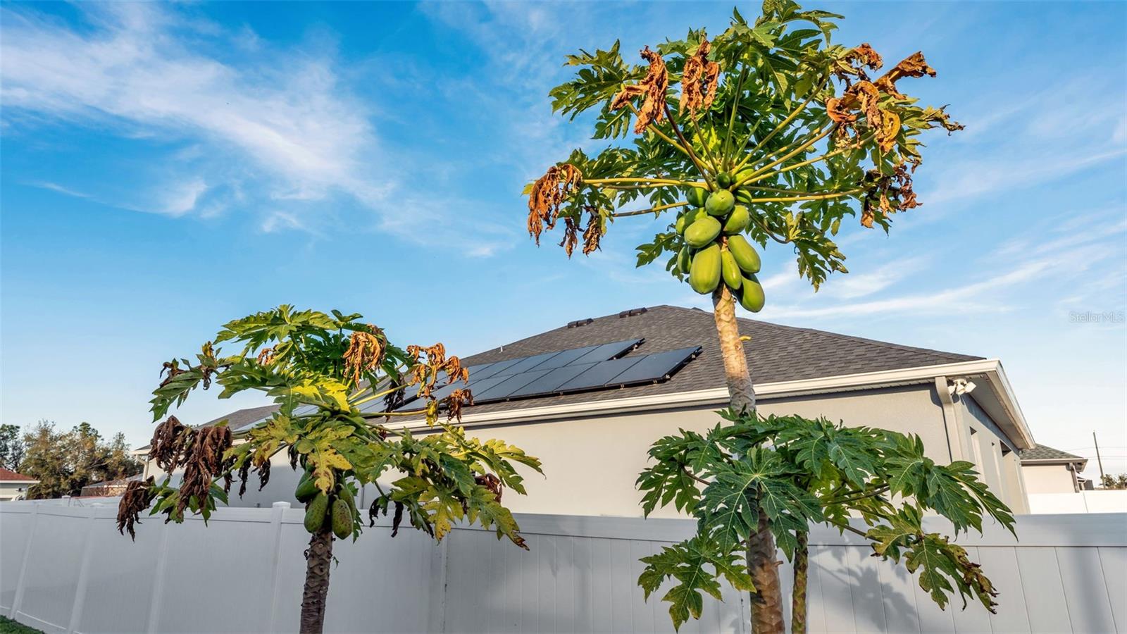 330 TRAVELERS CREEK DR