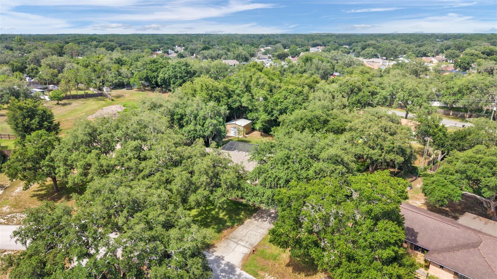 1428 N TIMBERIDGE LOOP
