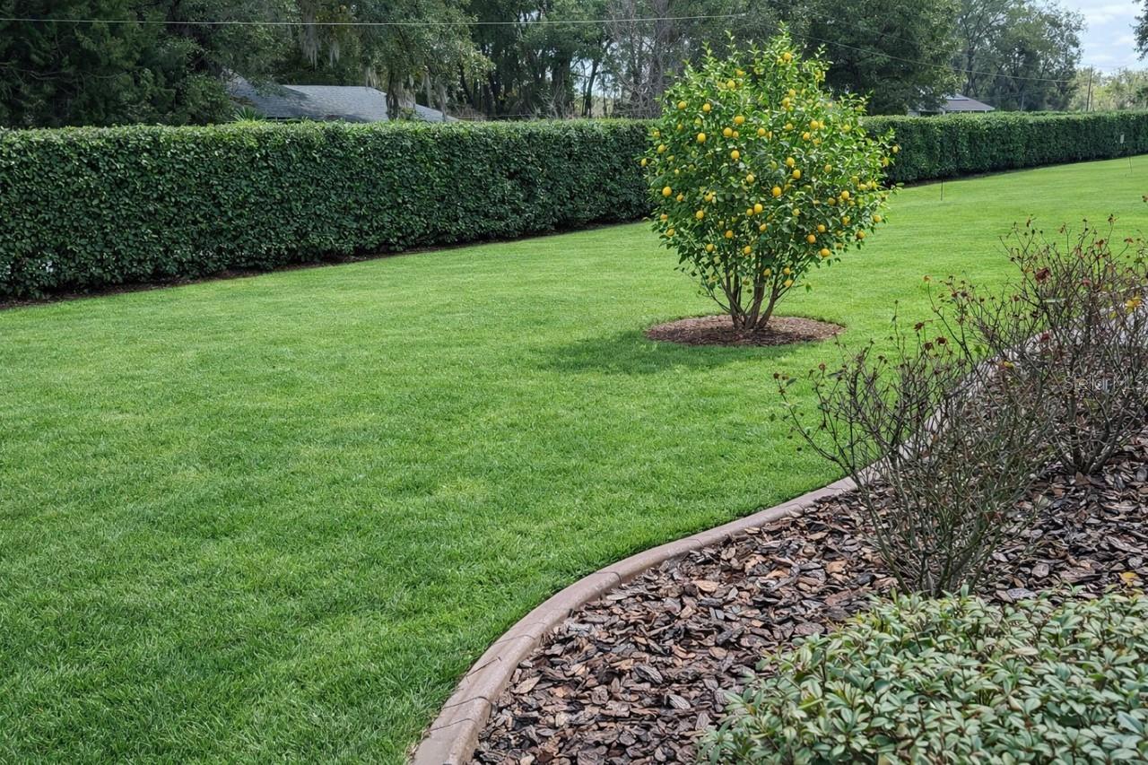 7777 SW 80TH PLACE RD