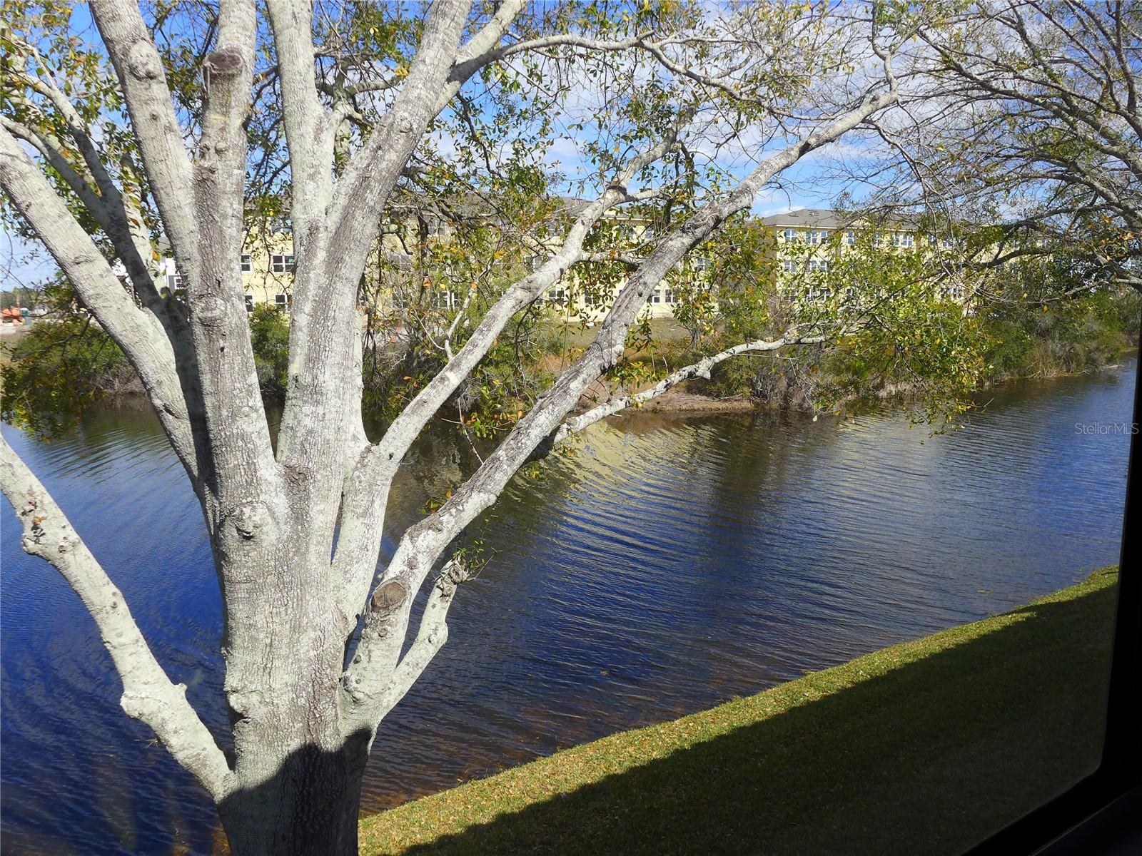 1711 GARDEN LAKE DR #1711