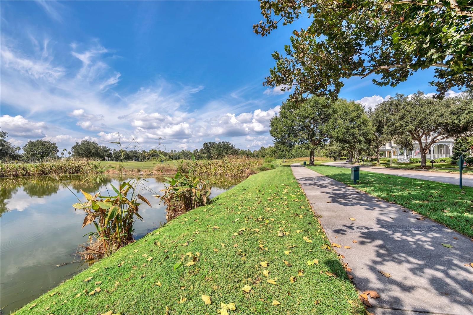 765 CELEBRATION AVE #765