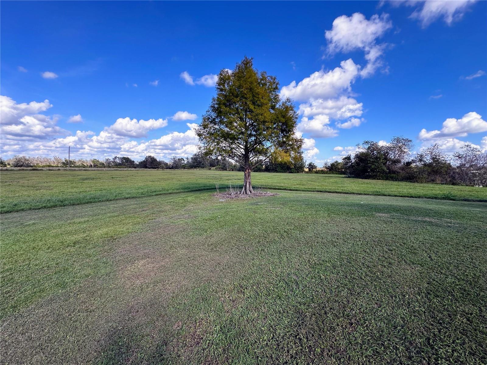 12310 MOBLEY POND LN