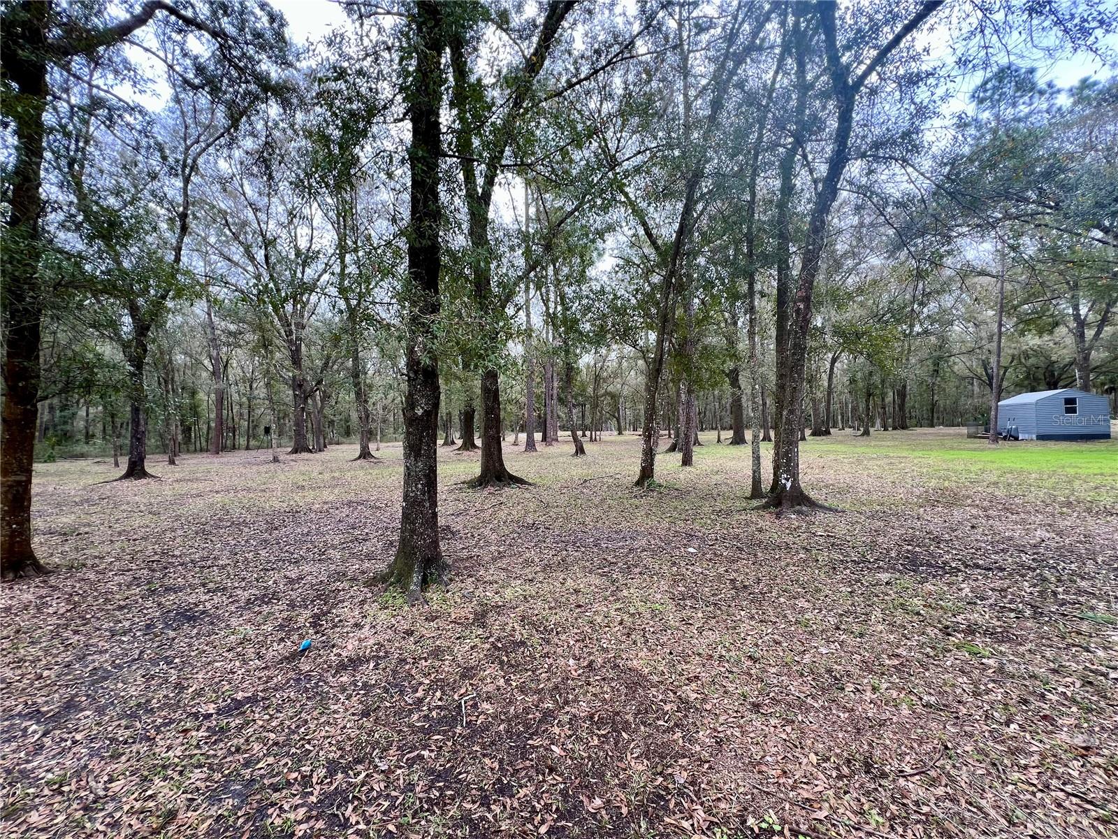 12601 COUNTRYLAND DR