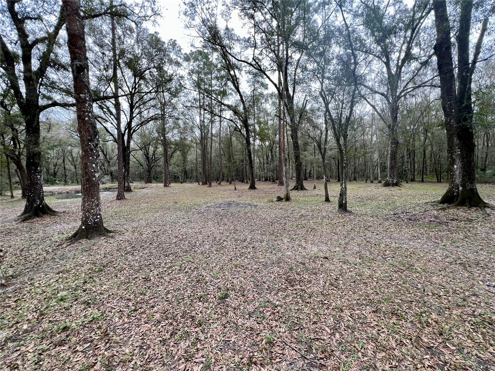 12601 COUNTRYLAND DR