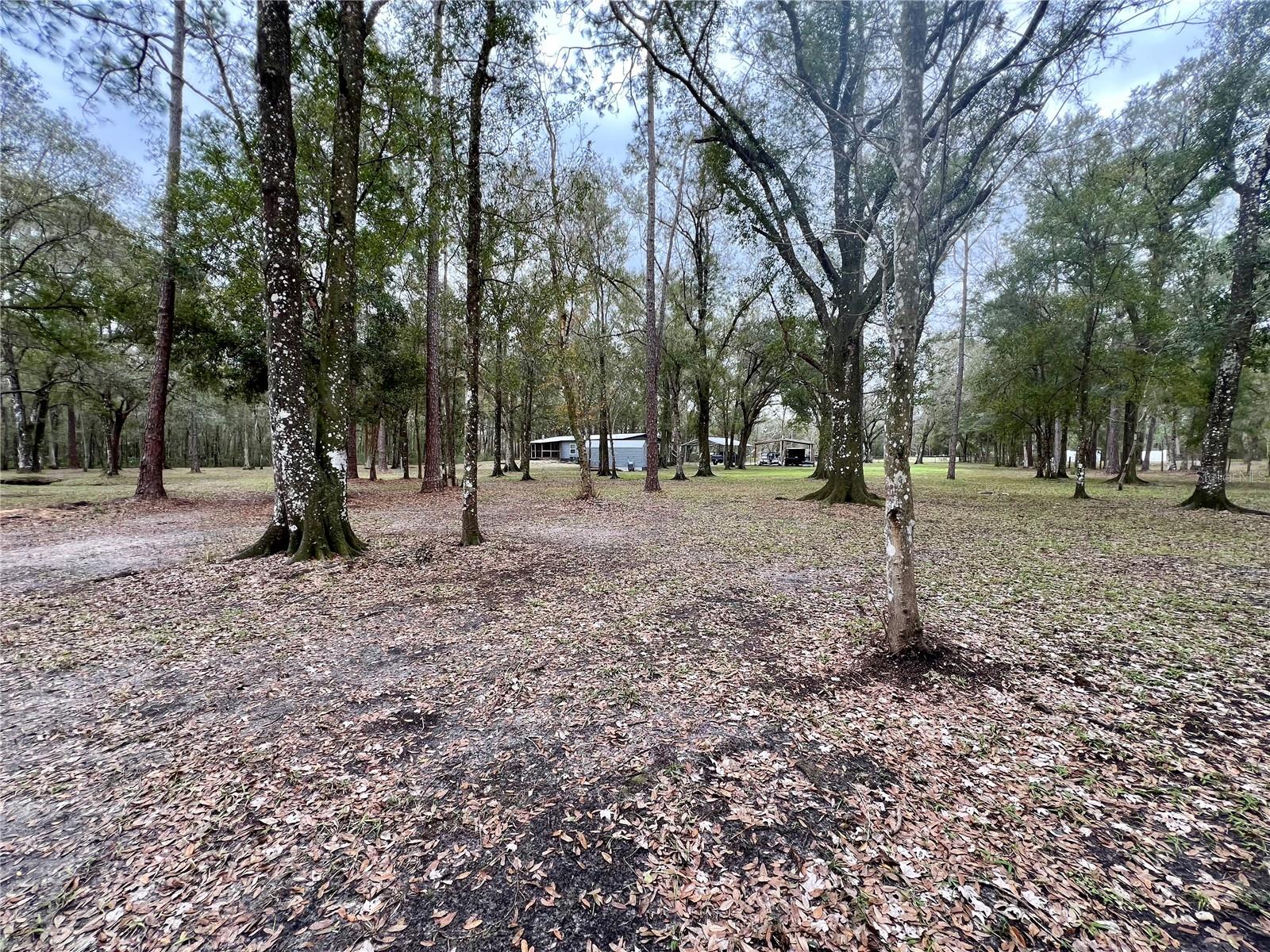 12601 COUNTRYLAND DR