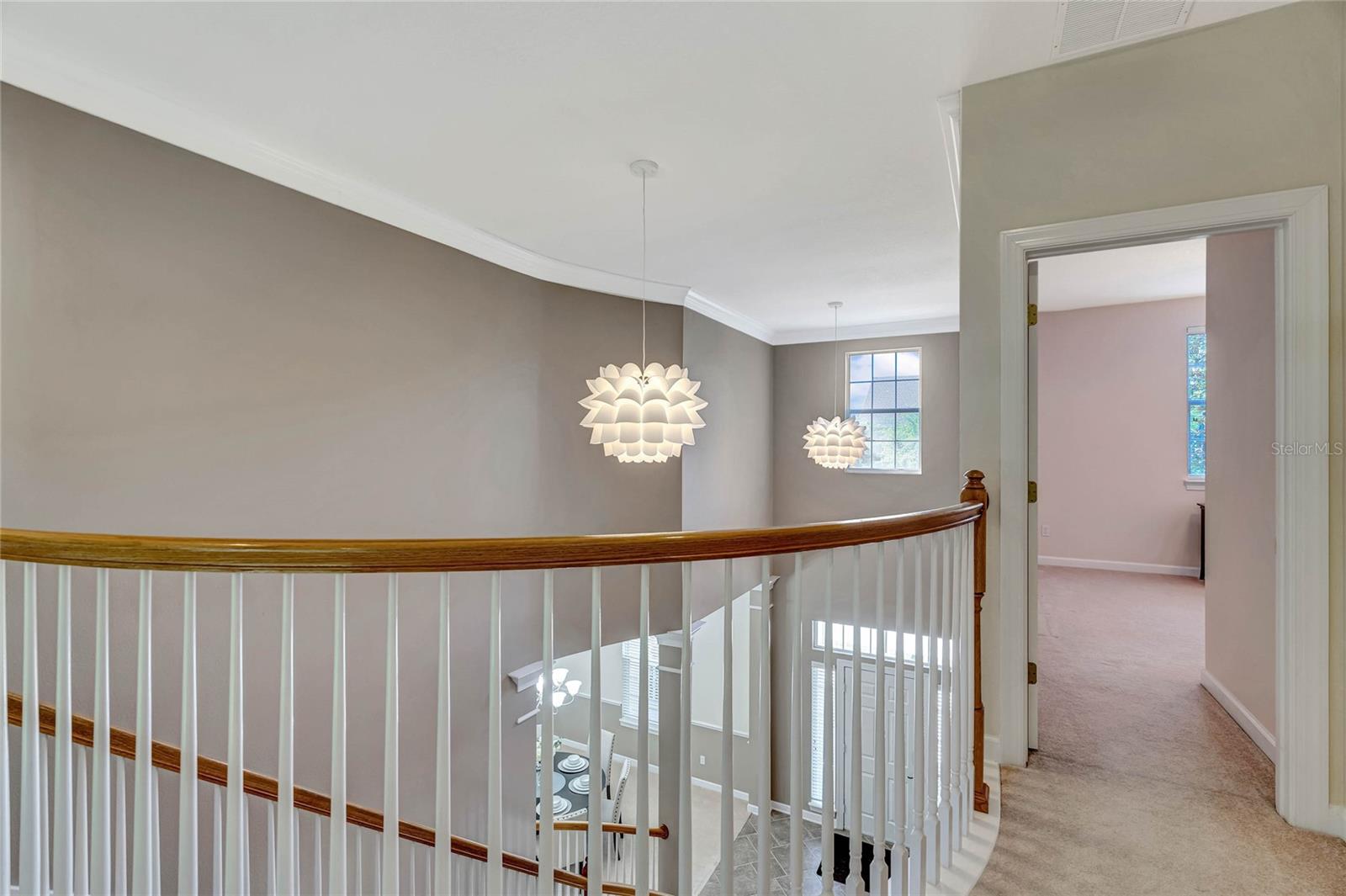 1229 AQUILA LOOP