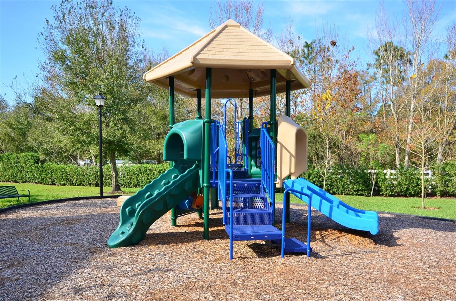 233 GOLDENRAIN DR #304